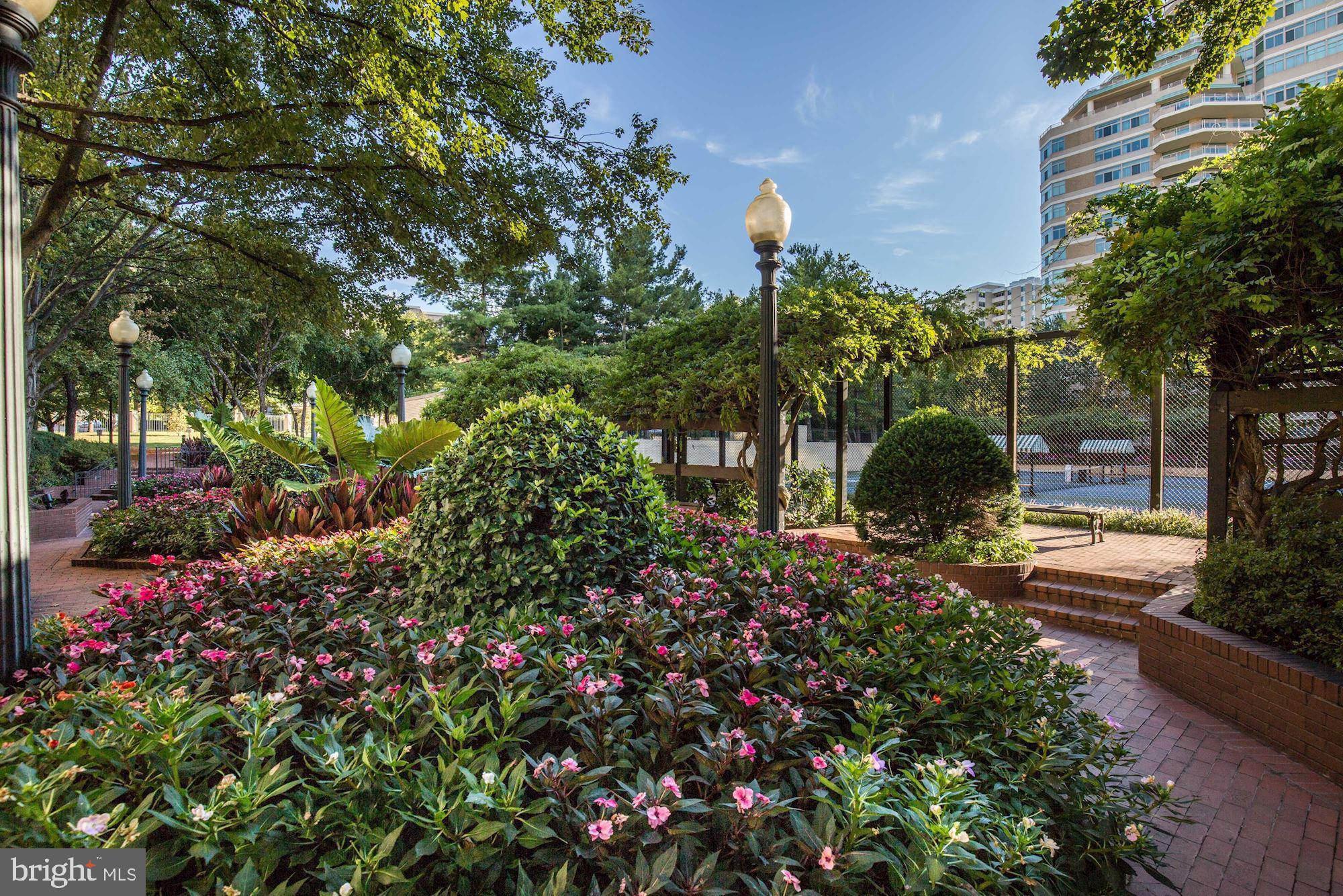 SOMERSET HOUSE CONDOS - Residential