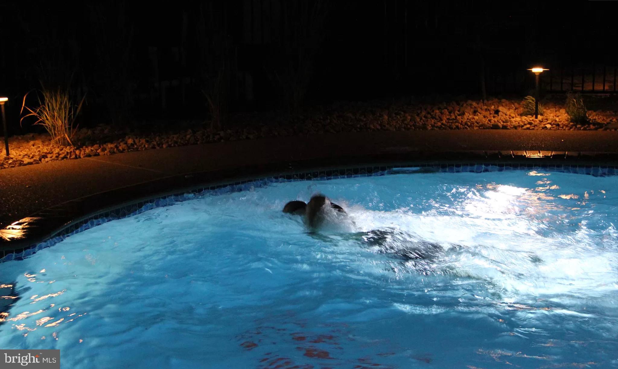 AVONDALE ESTATES - Residential