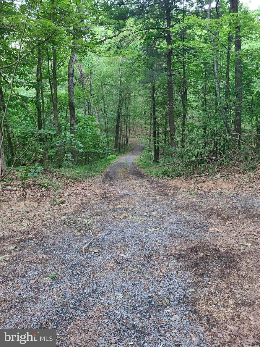 Ready to build your dream home?!  Then this is the lot for you! Already approved for a conventional septic system & well.   4-bedroom perc. House sight has been cleared. Driveway has been cut in and there is another clearing for a garage or whatever you choose!  With 2 ponds on the property and a walking path, you'll be sure to enjoy the wildlife! Beautiful wooded lot, private and secluded! Interior tract, there is a shared access road with 2 other 21 acre lots, which is tar & chip and hardtop up to the entrance of the lot! Don't miss this opportunity to start building your dream home! Owner/Agent