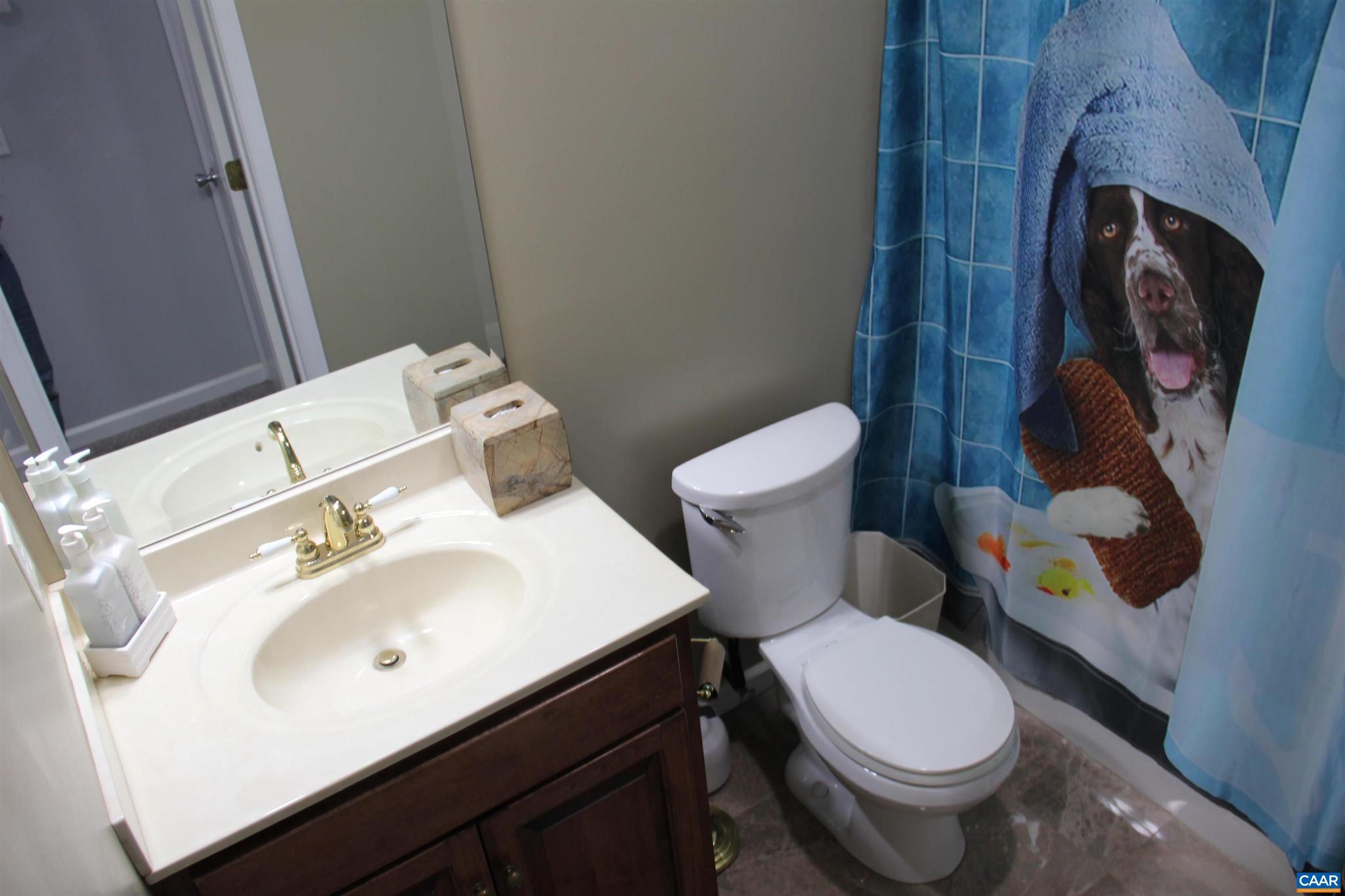 GREENE MOUNTAIN LAKE - Residential