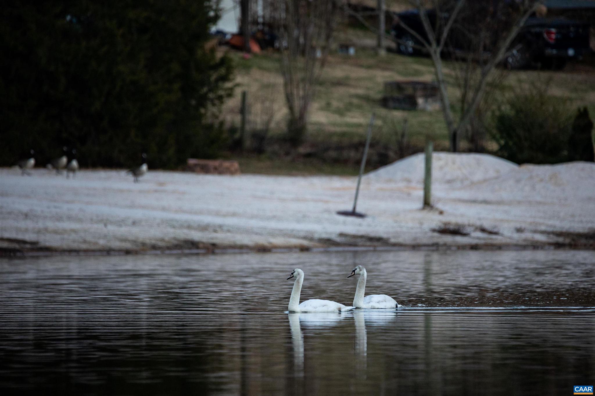 GREENE MOUNTAIN LAKE - Residential