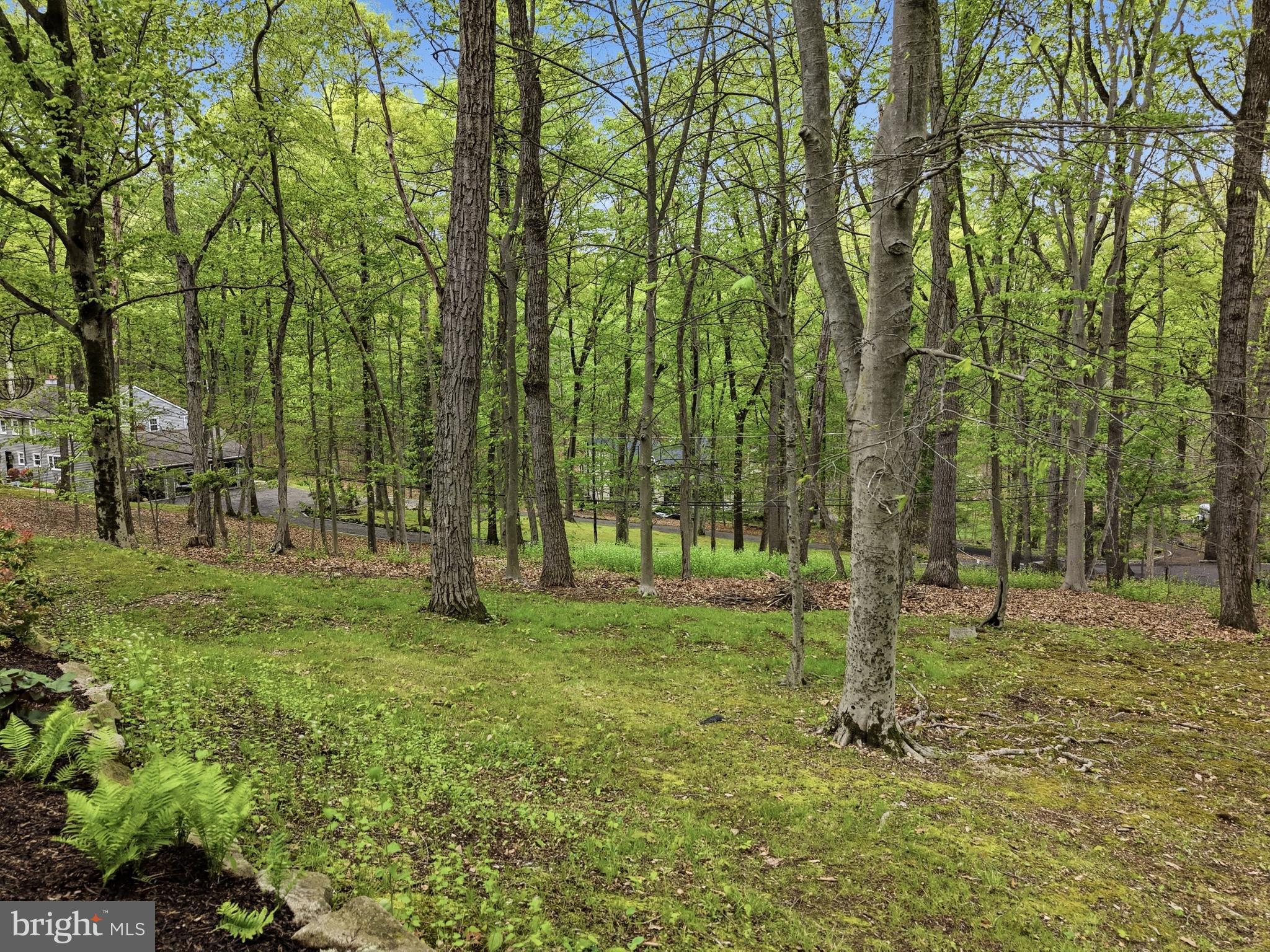 DOGWOOD HOLLOW - Residential