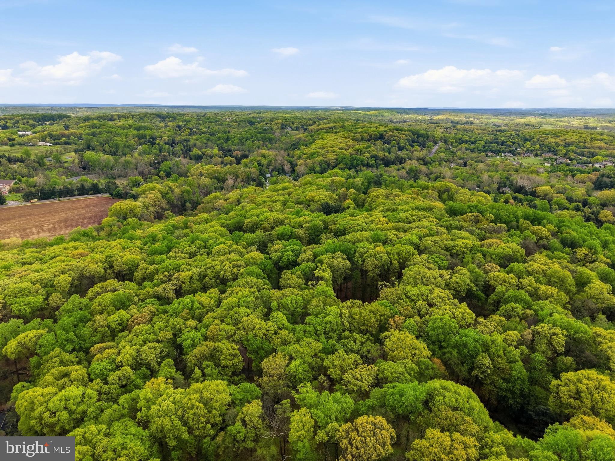 DOGWOOD HOLLOW - Residential