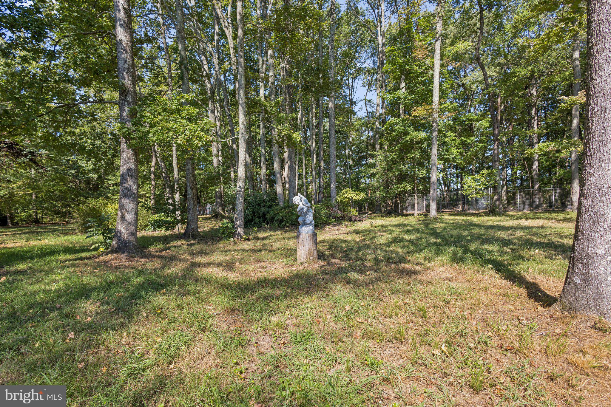 MT MORIAH ON THE POTOMAC - Residential