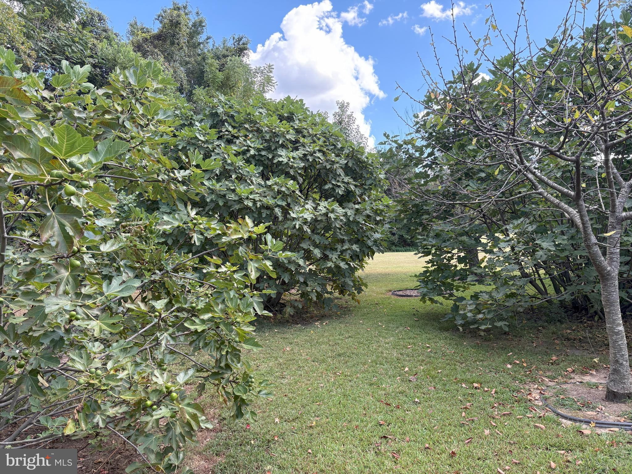 MT MORIAH ON THE POTOMAC - Residential