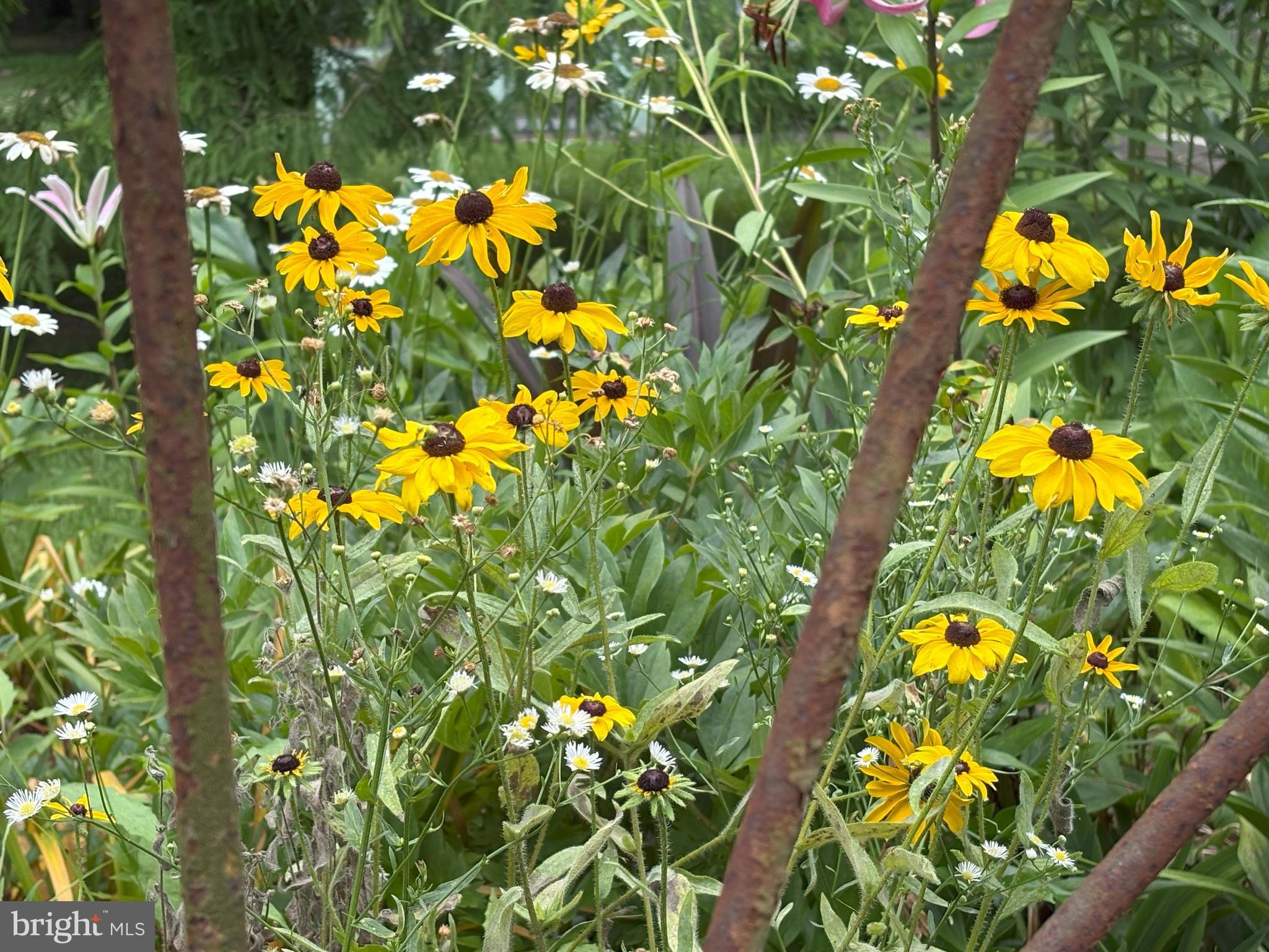 MT MORIAH ON THE POTOMAC - Residential
