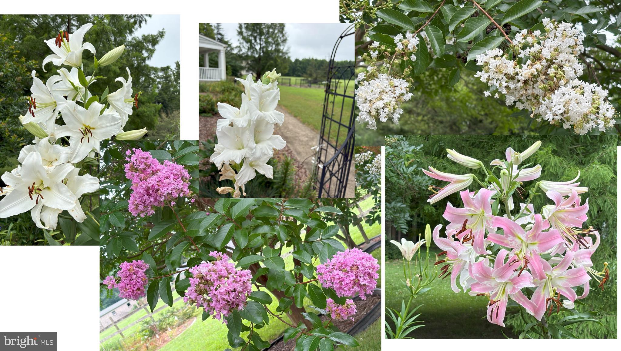 MT MORIAH ON THE POTOMAC - Residential