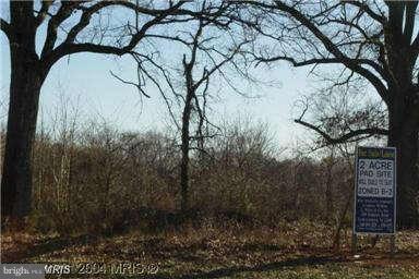 244 WHITE OAK ROAD