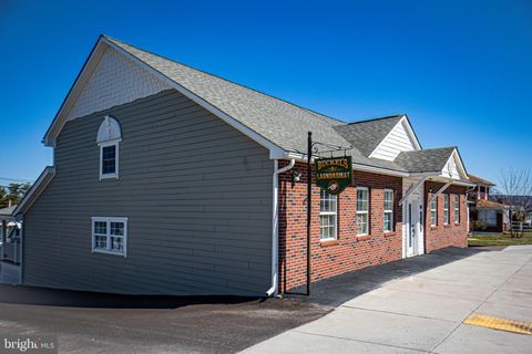193 MAIN STREET GRANTSVILLE MD 21536
