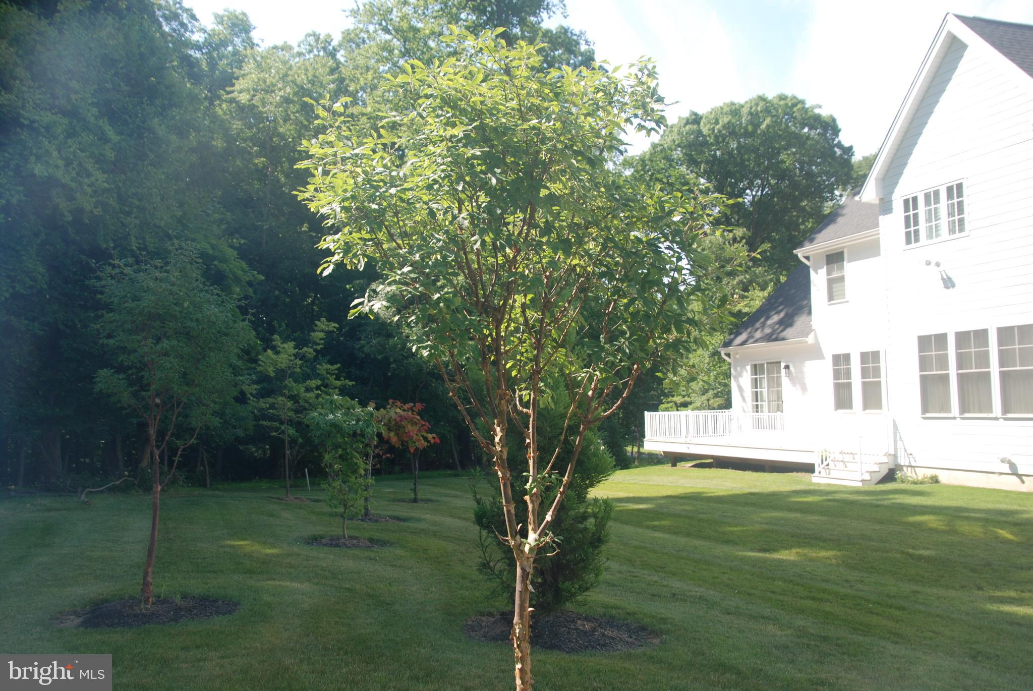 TROUTBECK FARM - Residential