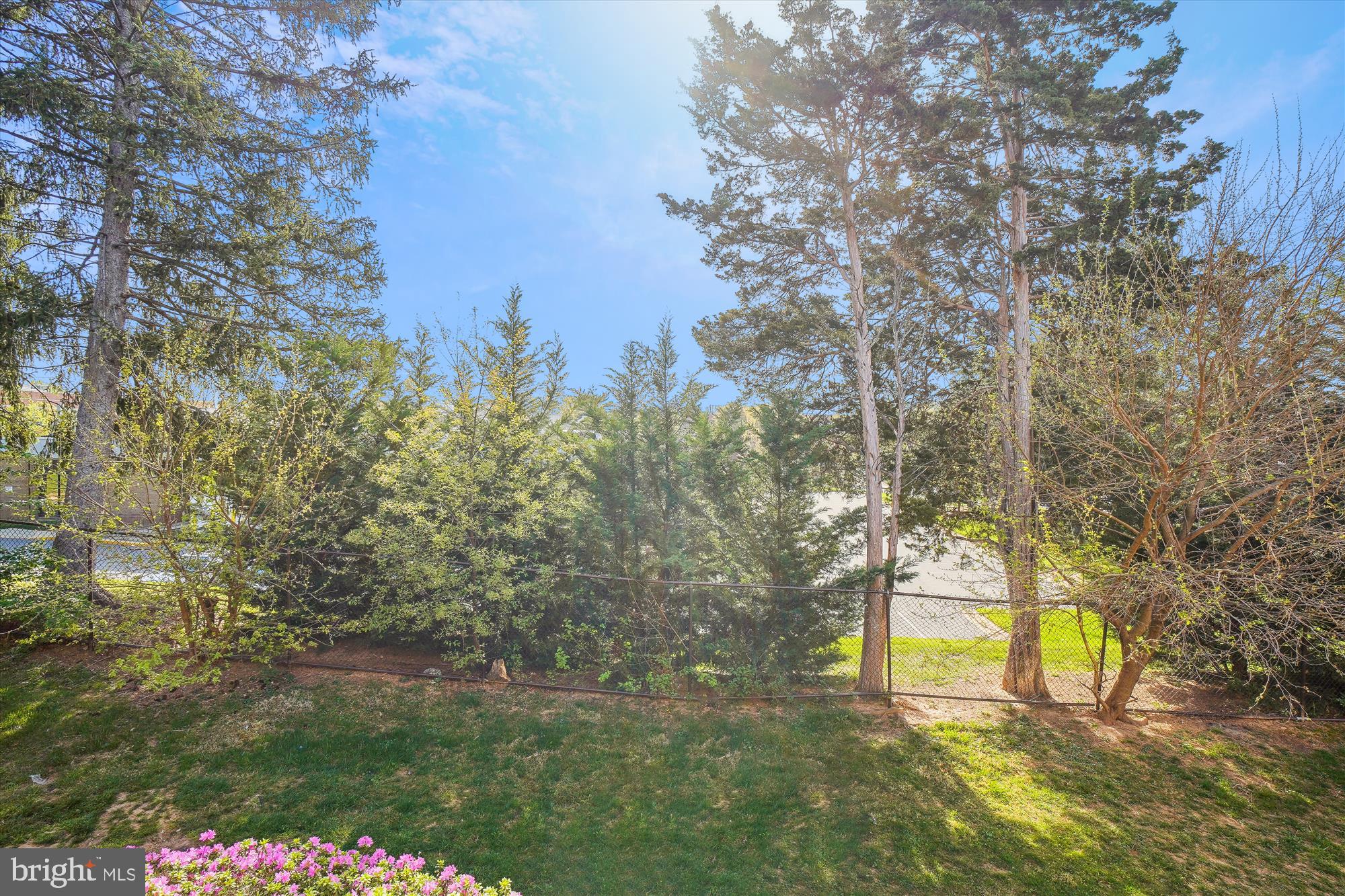 DIAMOND FARM CODM - Residential