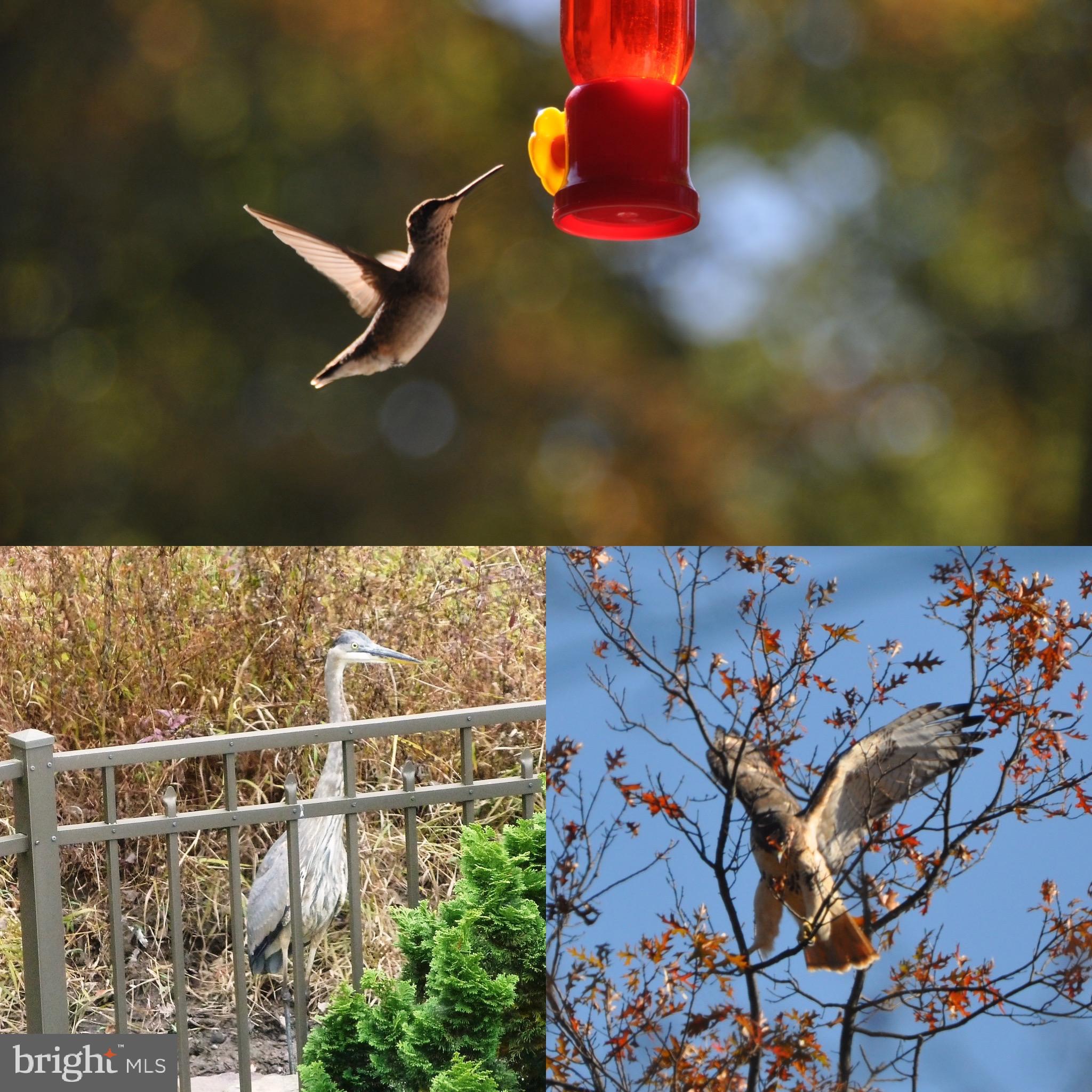 BEECHWOOD - Residential