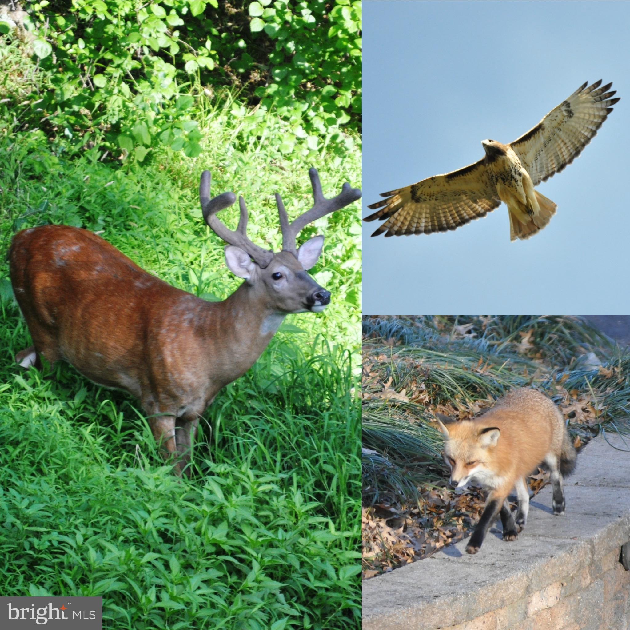 BEECHWOOD - Residential