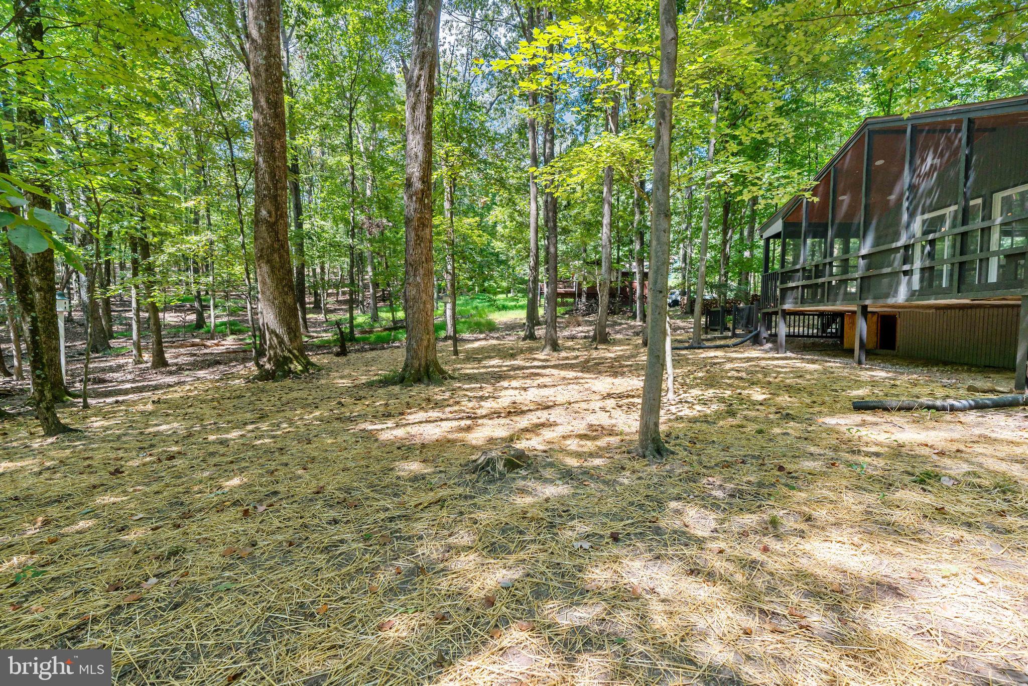 THE WOODS RESORT - Residential