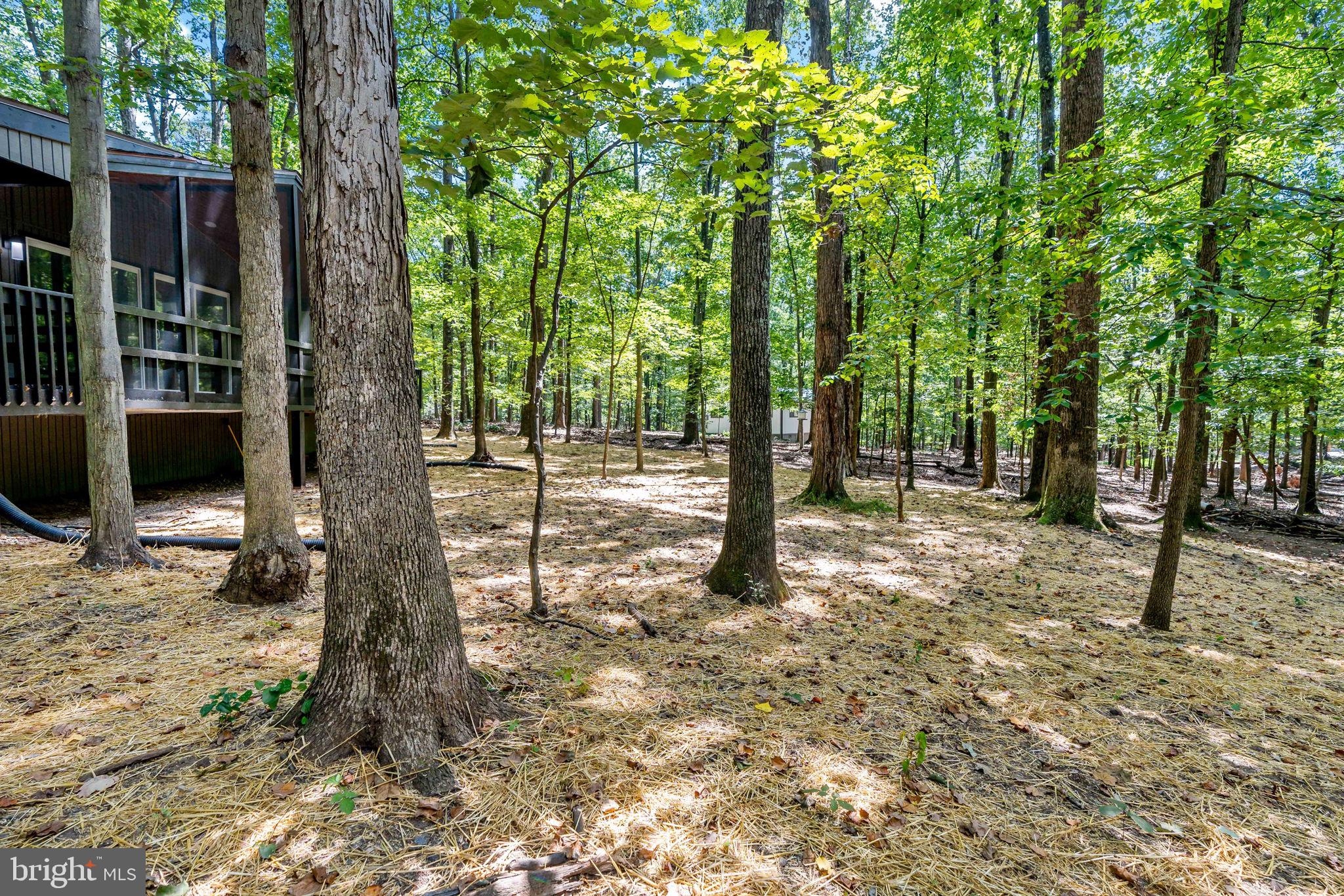 THE WOODS RESORT - Residential