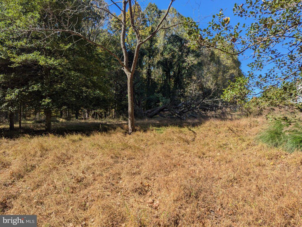 NONE AVAILABLE - Land