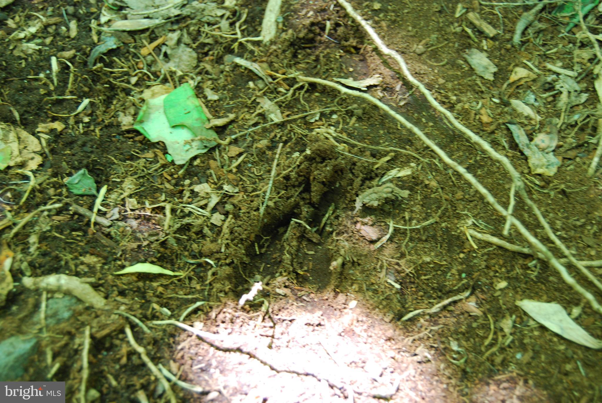 GRANDVIEW ESTATES - Land