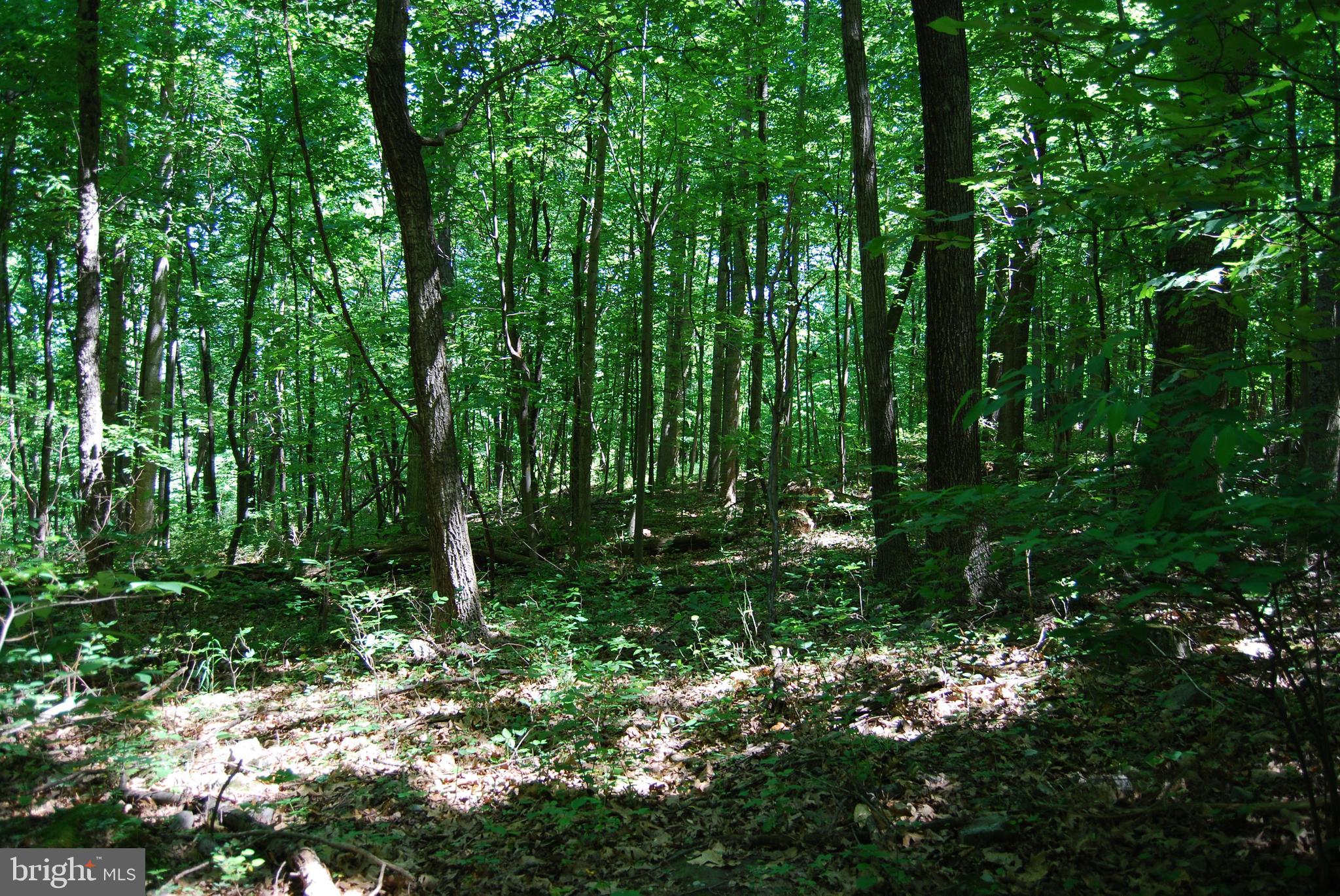 GRANDVIEW ESTATES - Land