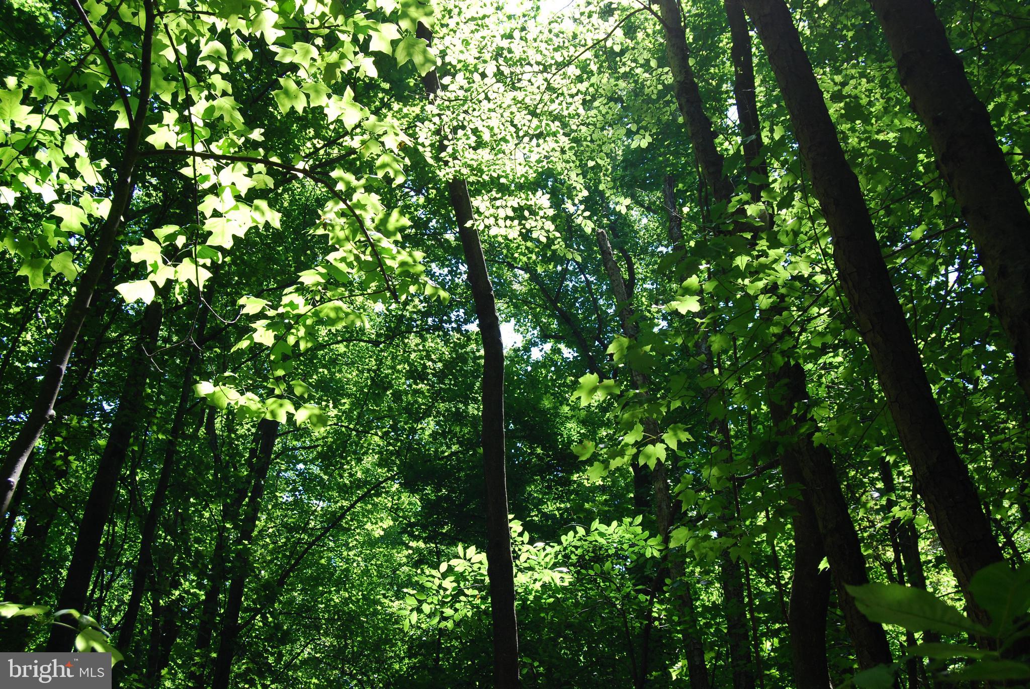 GRANDVIEW ESTATES - Land