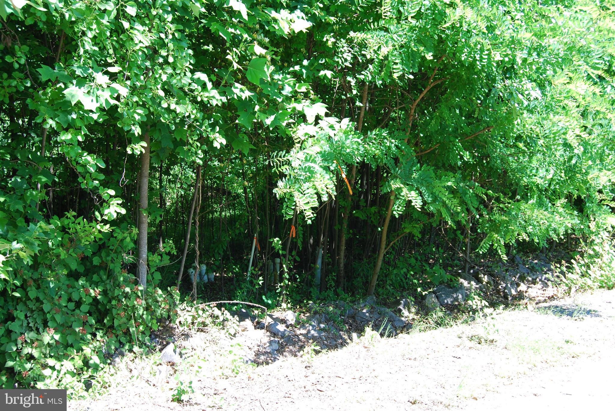 GRANDVIEW ESTATES - Land