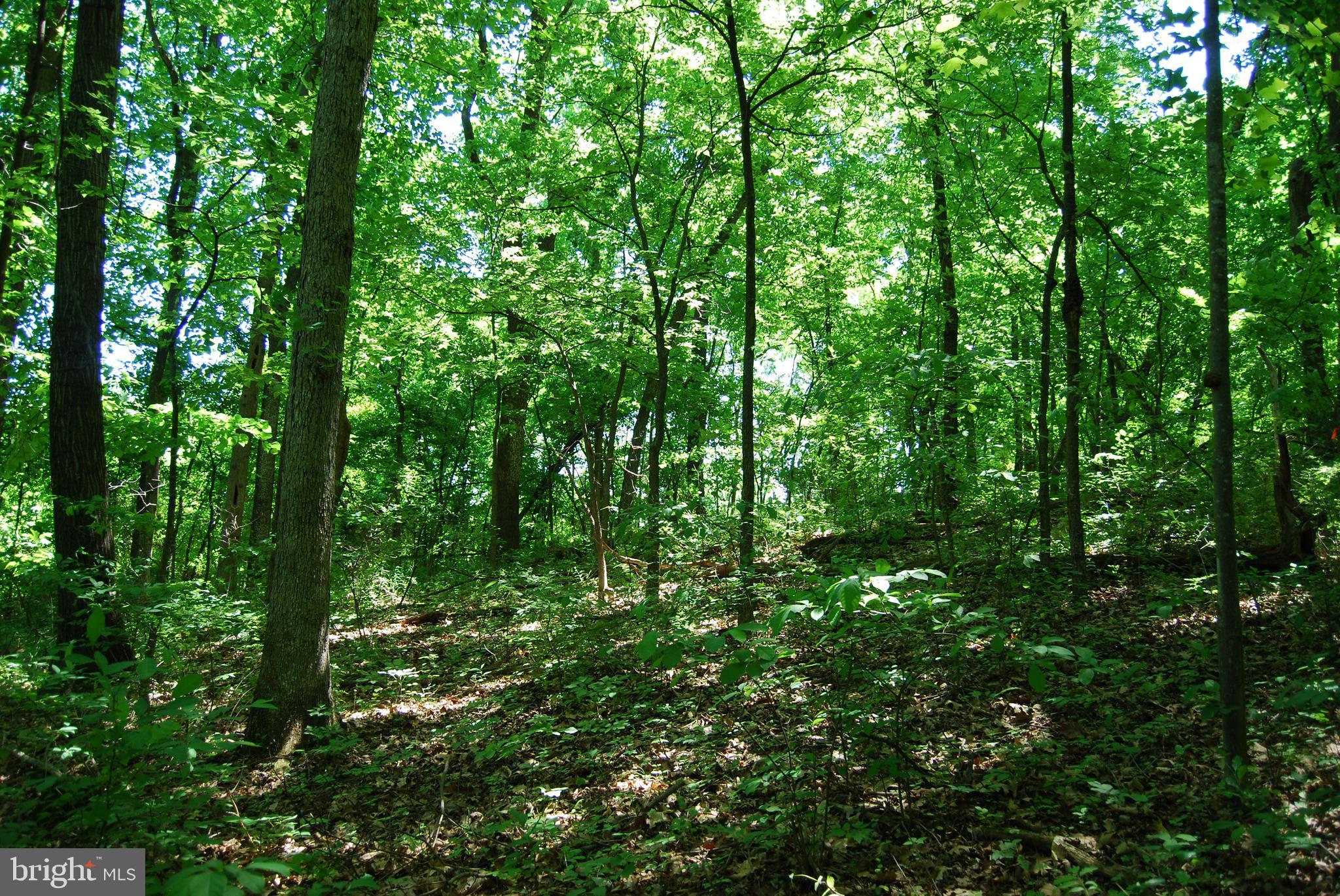 GRANDVIEW ESTATES - Land