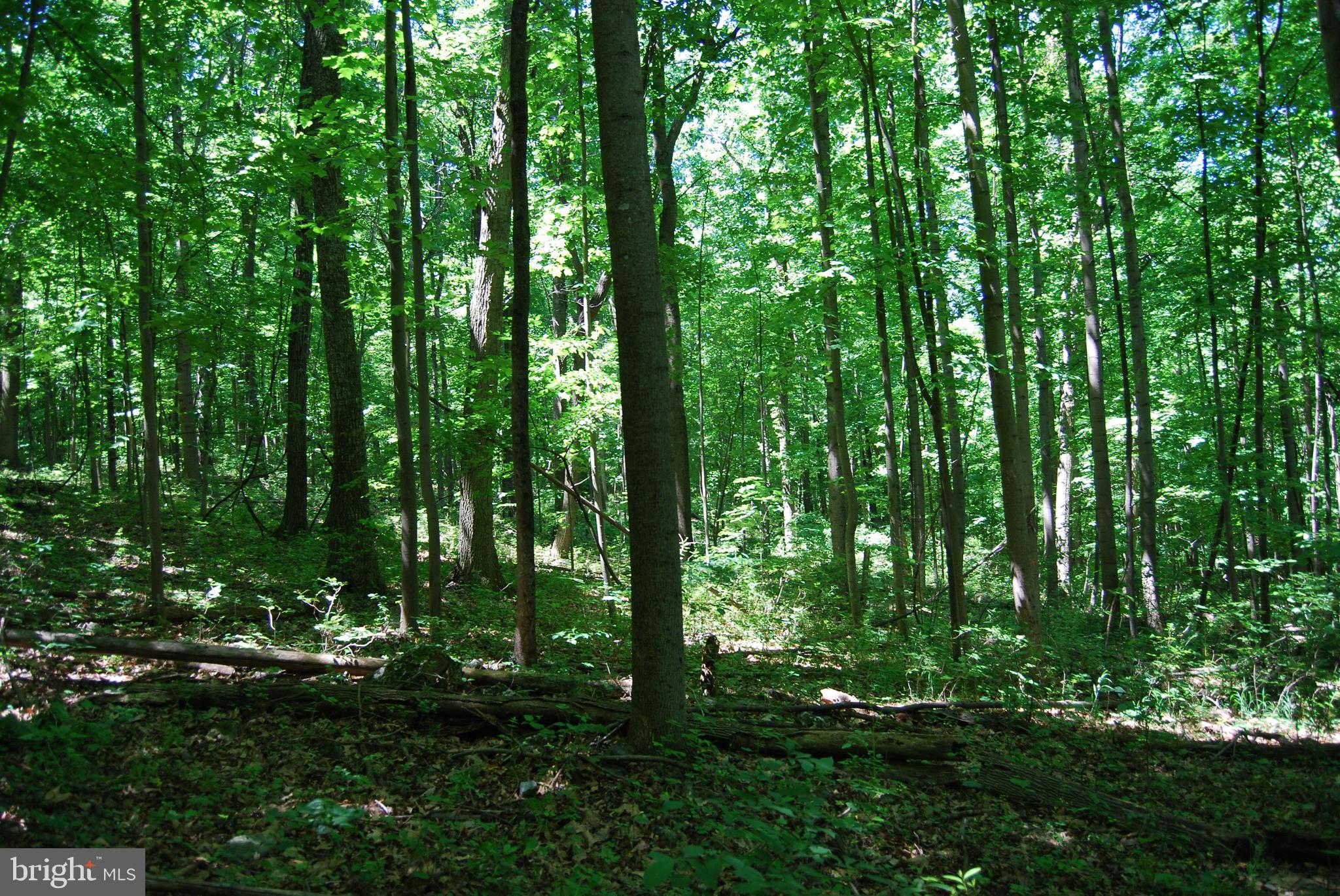 GRANDVIEW ESTATES - Land