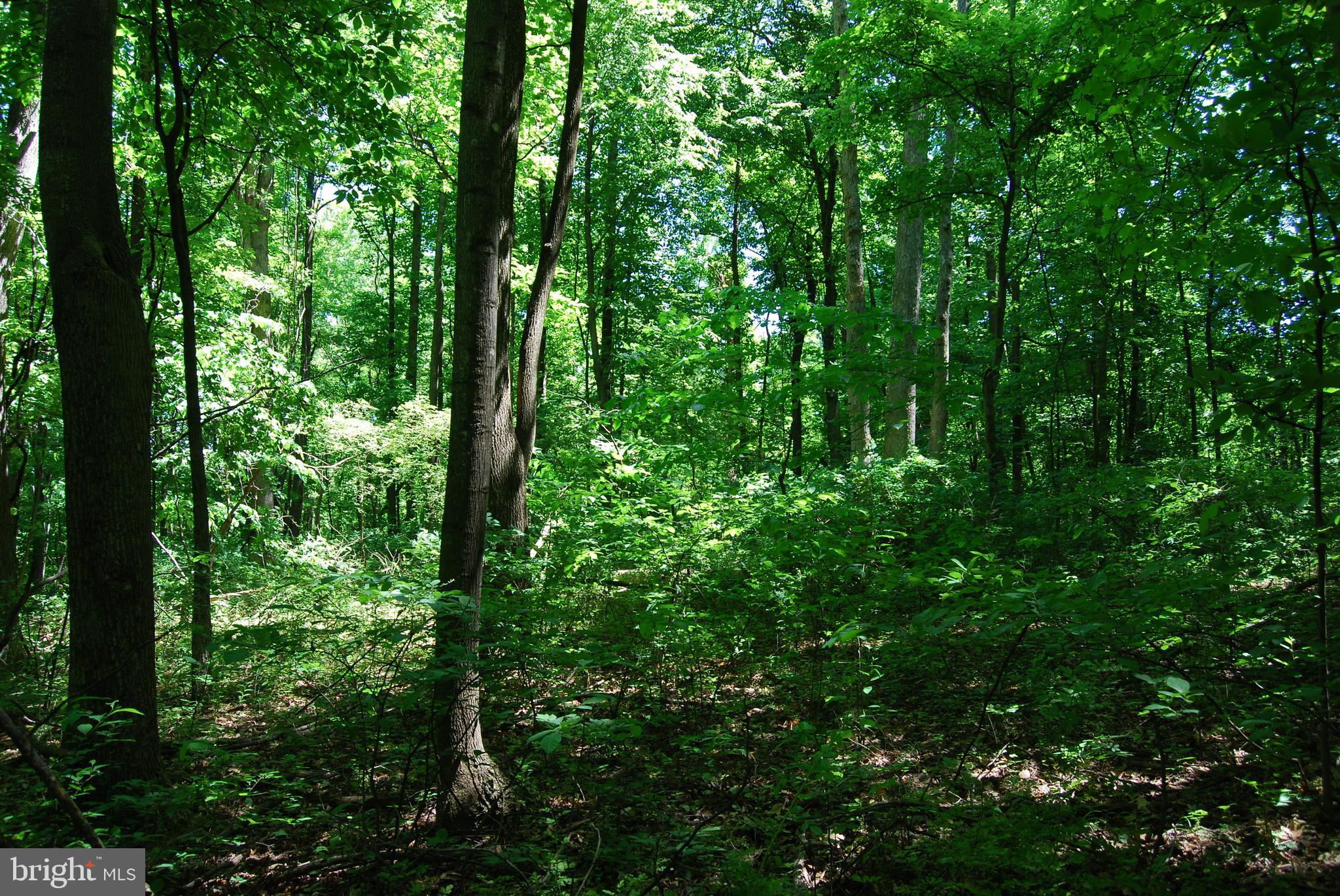 GRANDVIEW ESTATES - Land