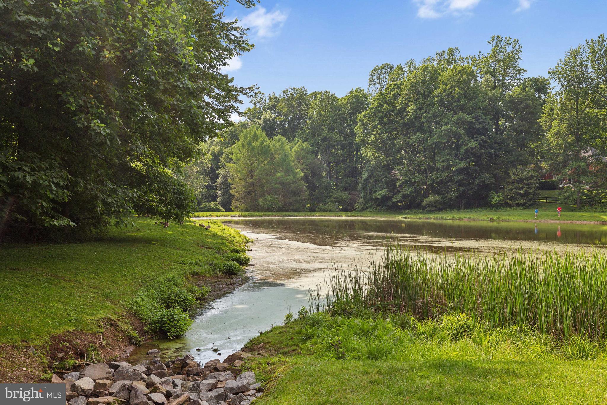 SNOW HILL - Residential