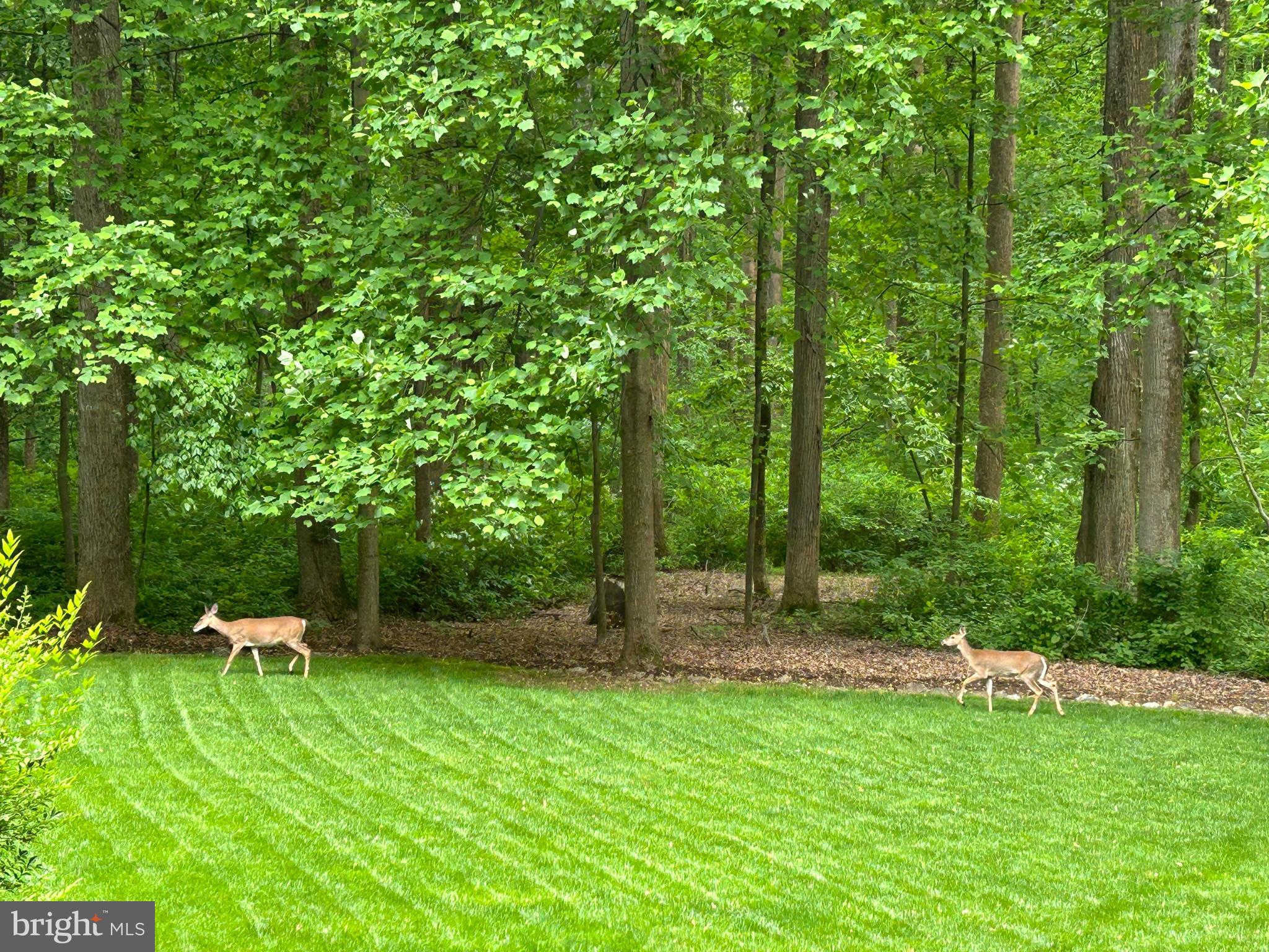 SNOW HILL - Residential