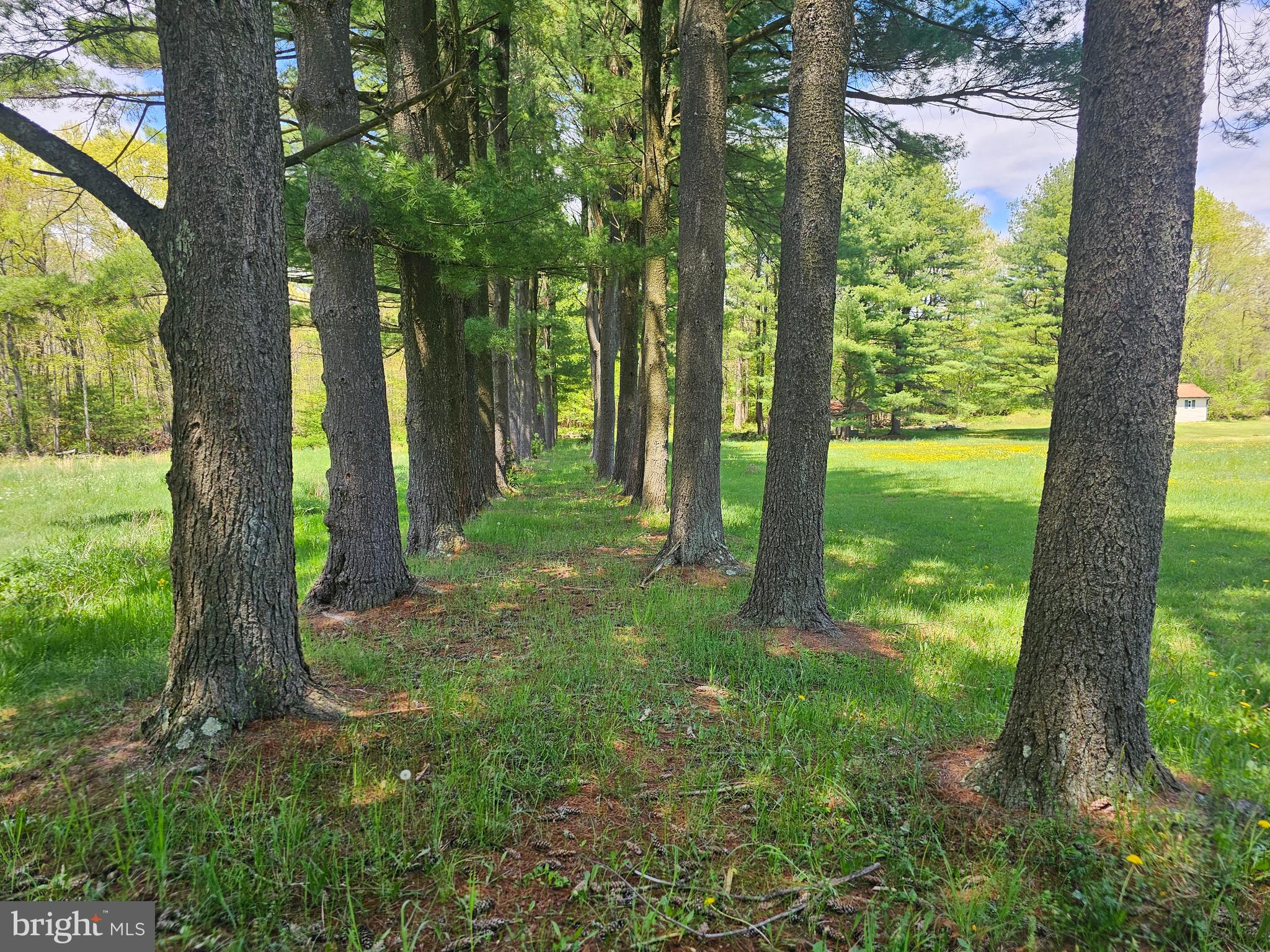 KRISS PINES ESTATES - Land