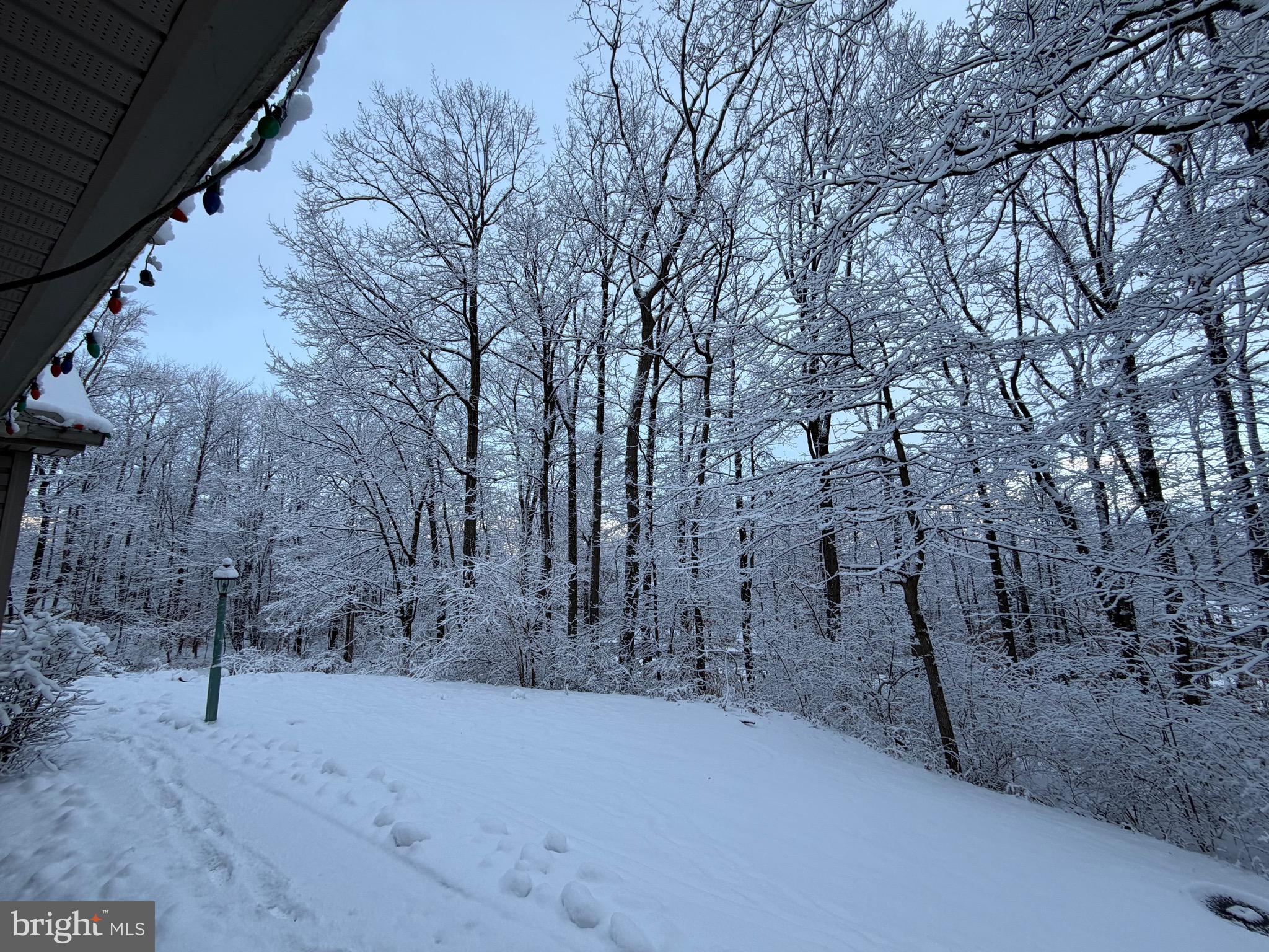 WHITETAIL ESTATES - Residential