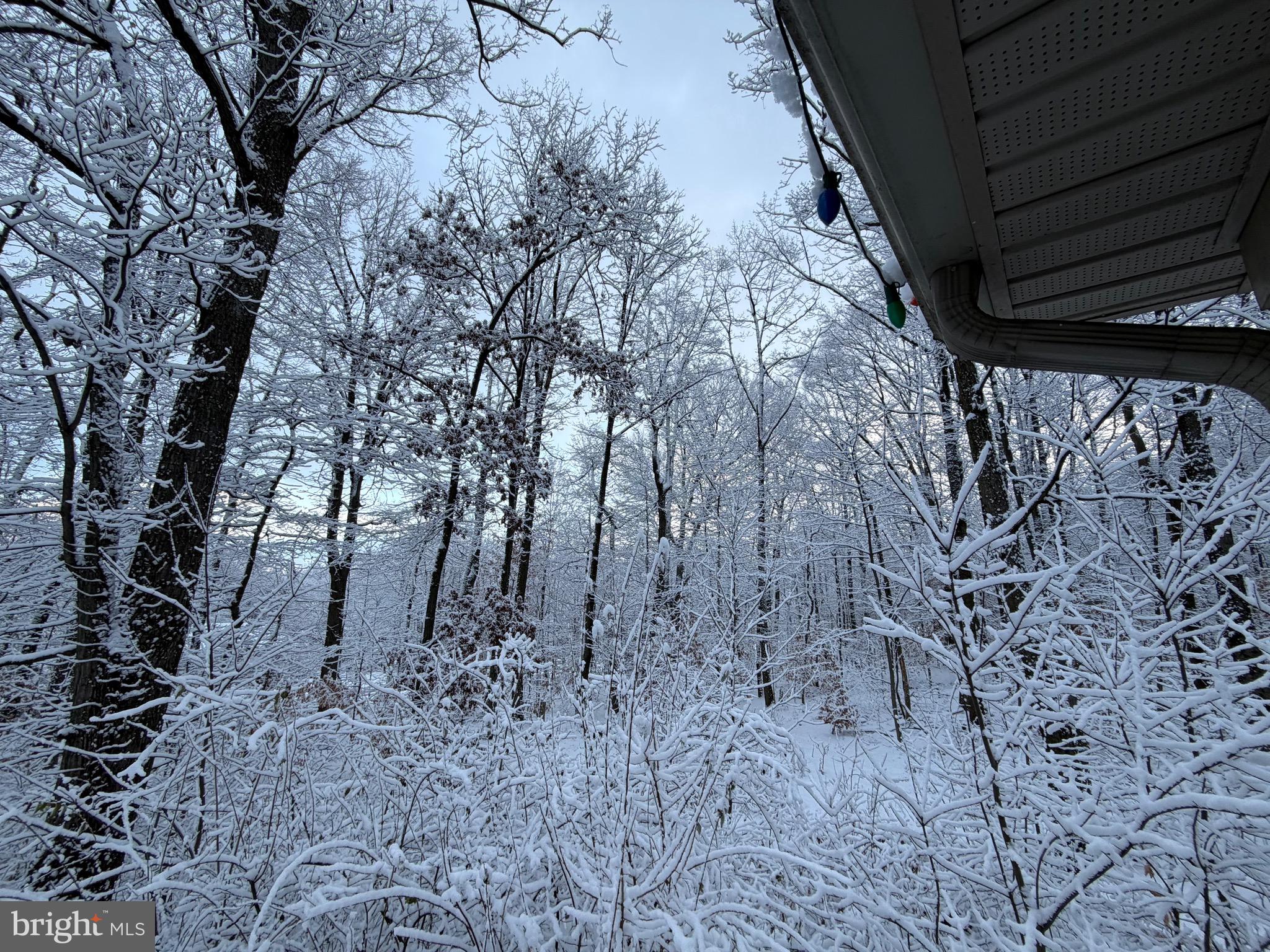 WHITETAIL ESTATES - Residential