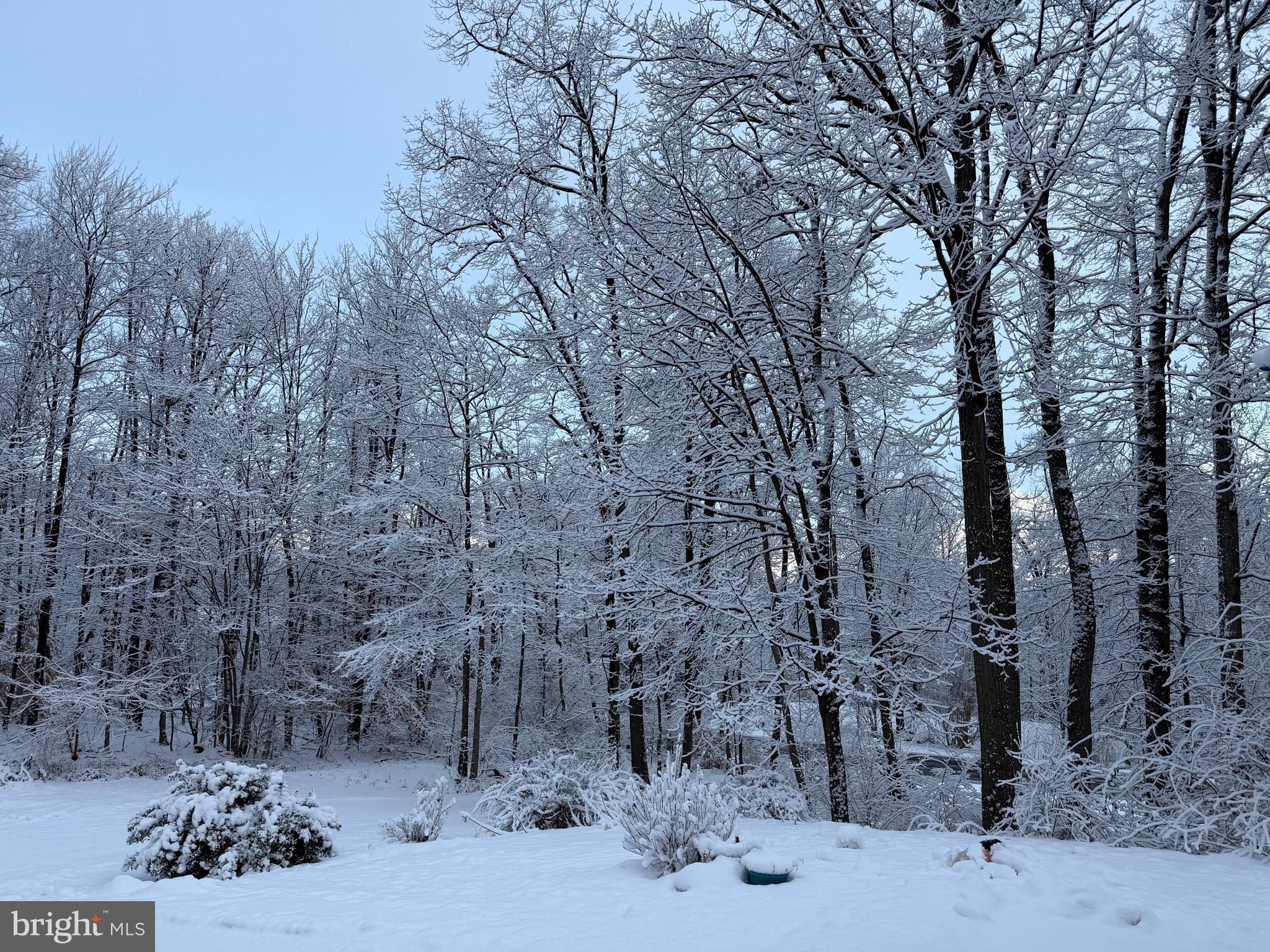 WHITETAIL ESTATES - Residential