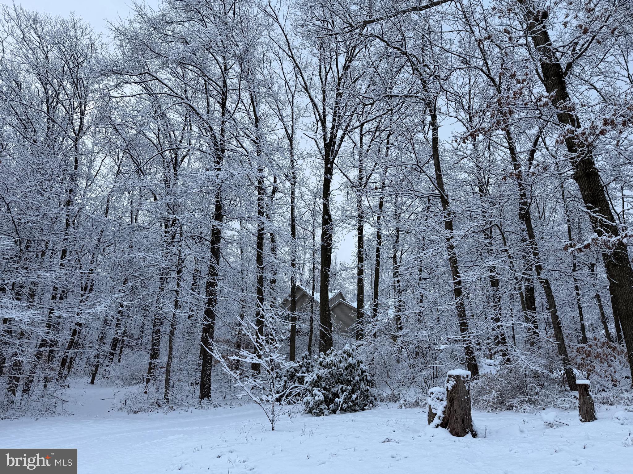 WHITETAIL ESTATES - Residential