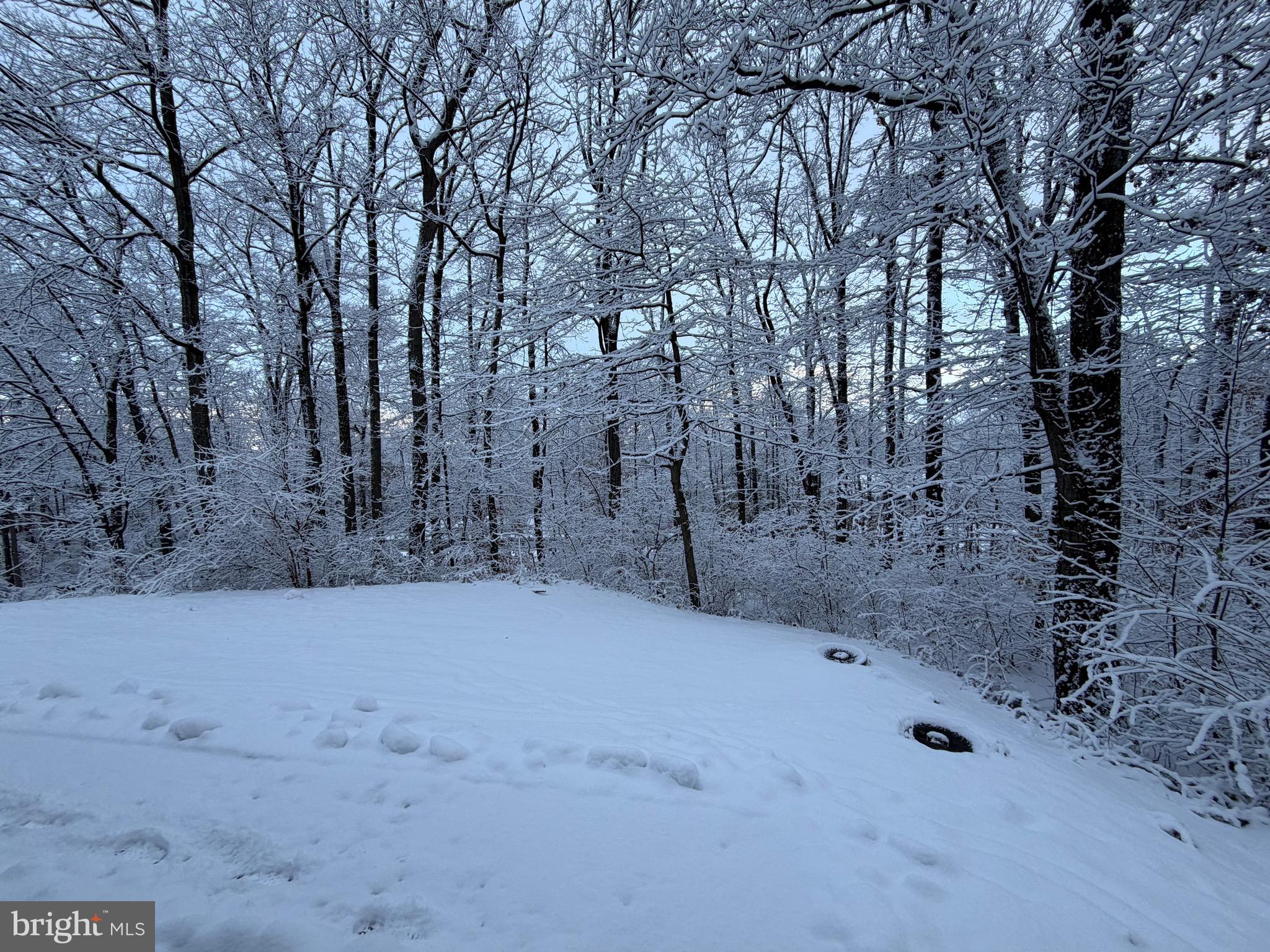 WHITETAIL ESTATES - Residential