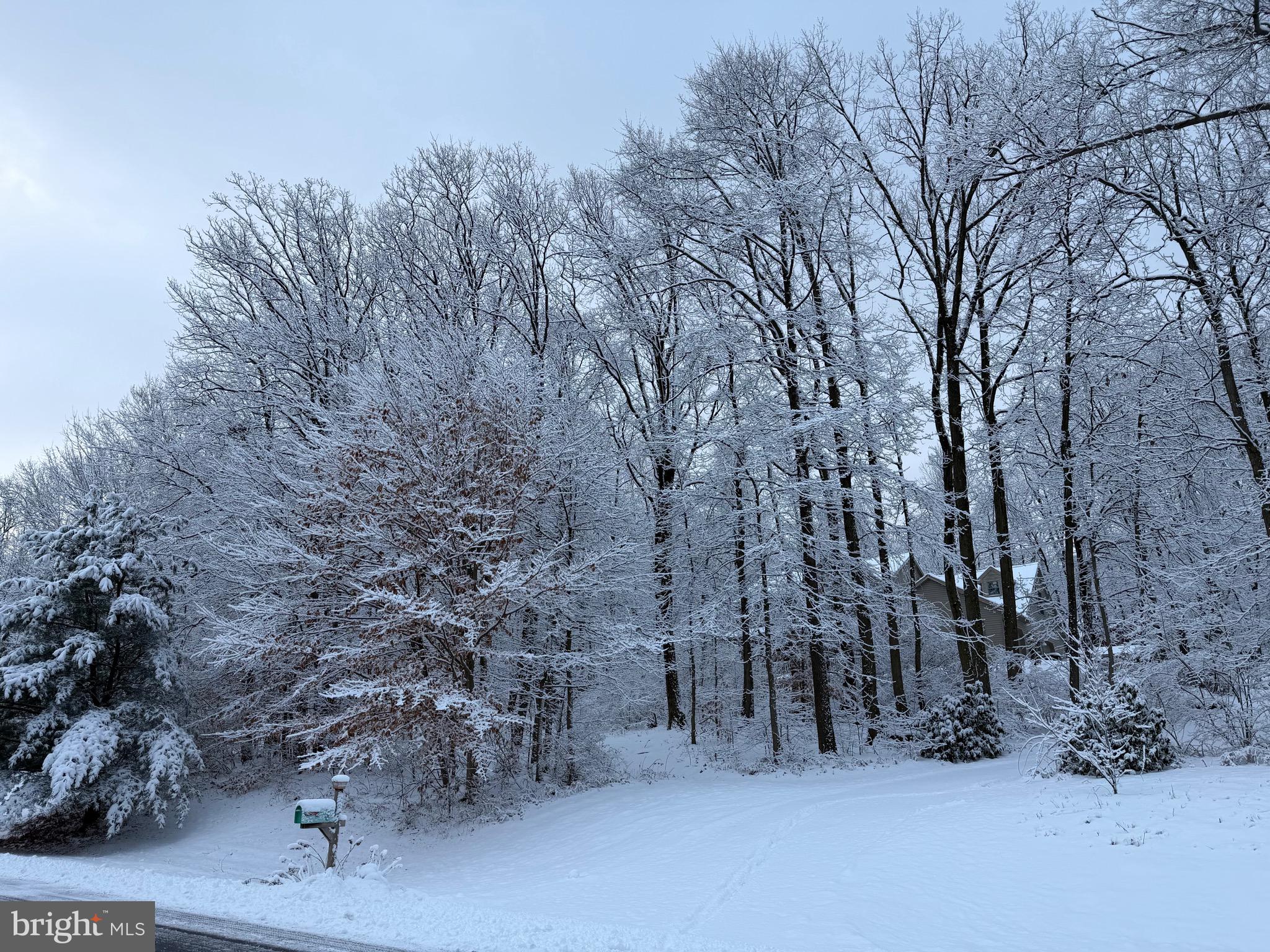 WHITETAIL ESTATES - Residential