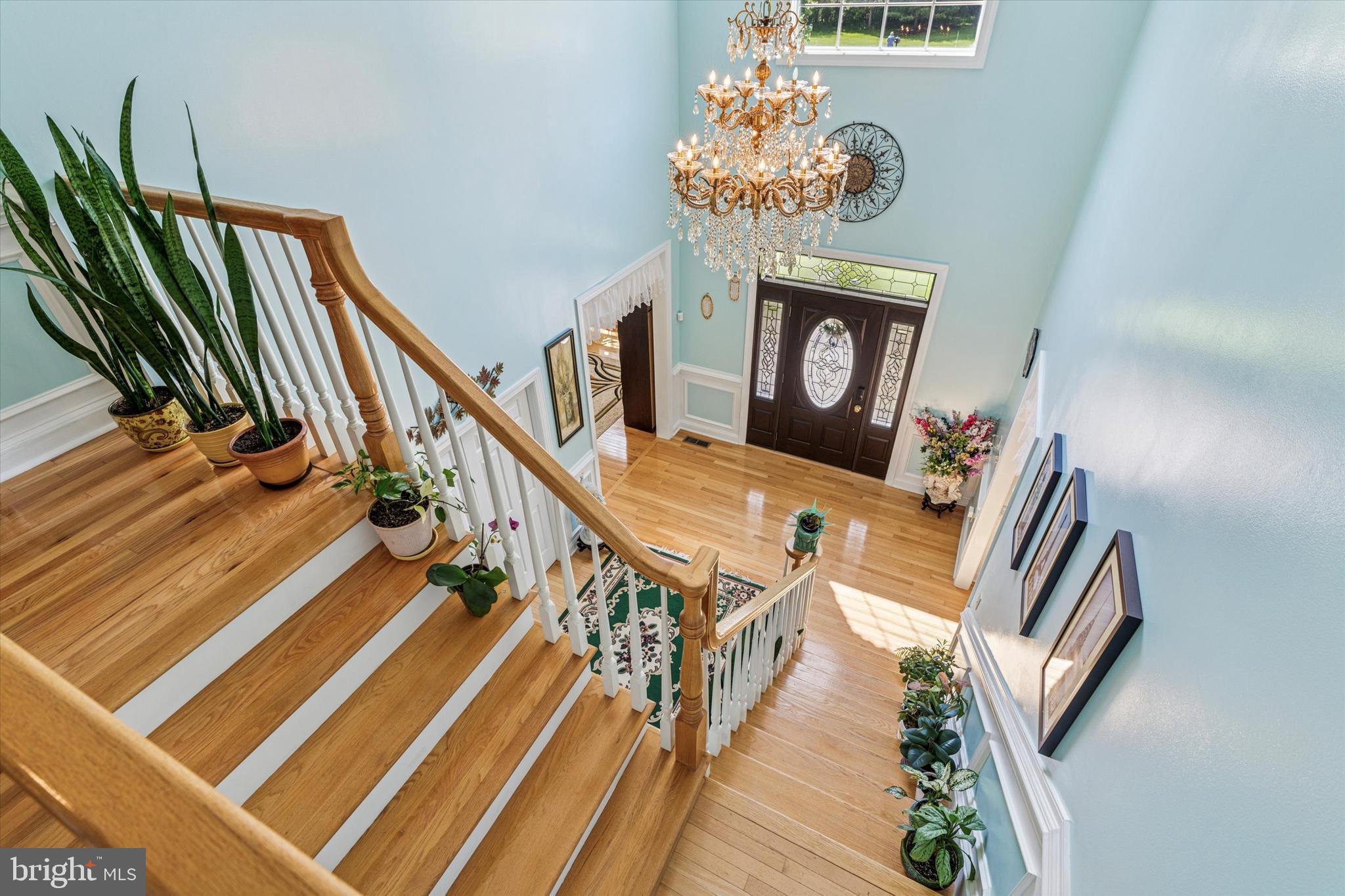 WYNTREE ESTATES - Residential