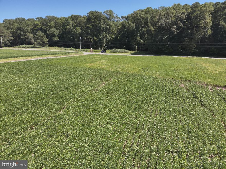 Beautiful cleared 2.85 acres perc approved building Lot located just east of Snow Hill Md. This is your opportunity to purchase a nice high well drained Lot with over a 1.5 acres of buildable area. Plenty of room for your House, Pole Barn, gardens and what ever else you want in this country setting. Close to several public boat launches to enjoy the nearby Bay. Hard to find a nice all clear lot with some acreage in Worcester County like this for the price.