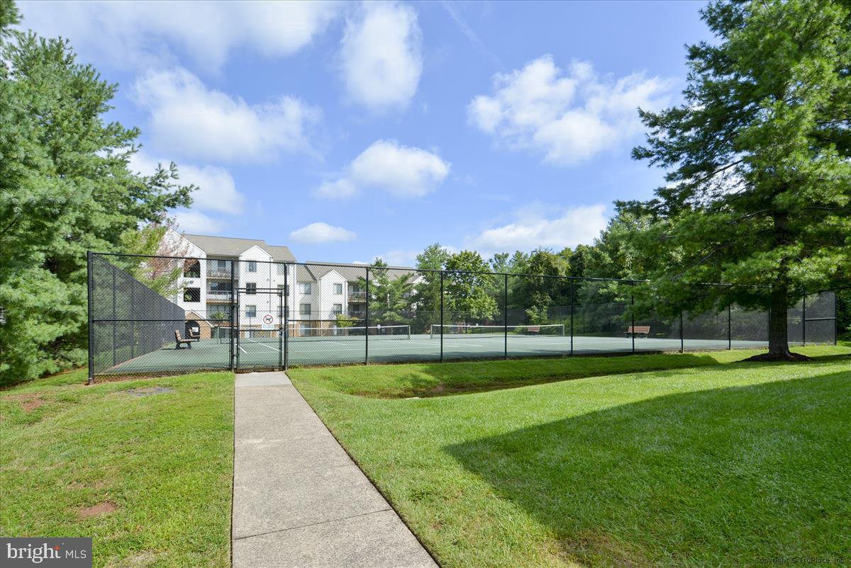 BATTERY HEIGHTS - Residential Lease