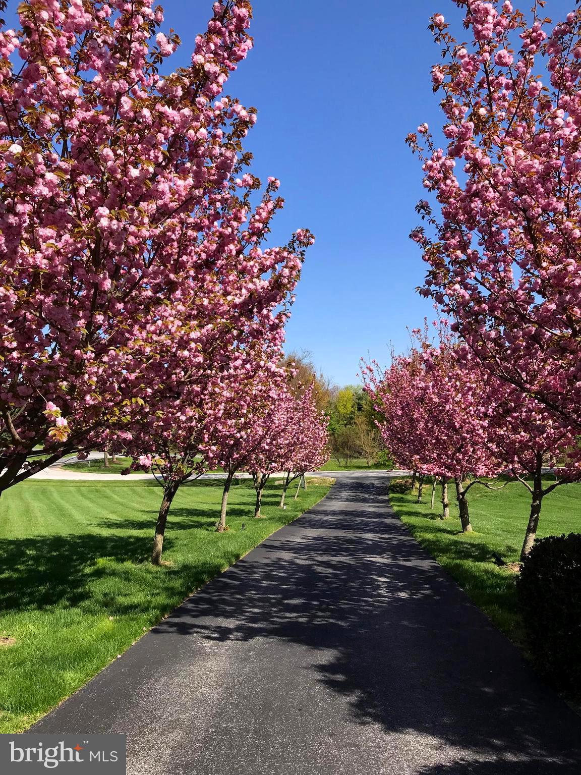 MCCANN ESTATES - Residential