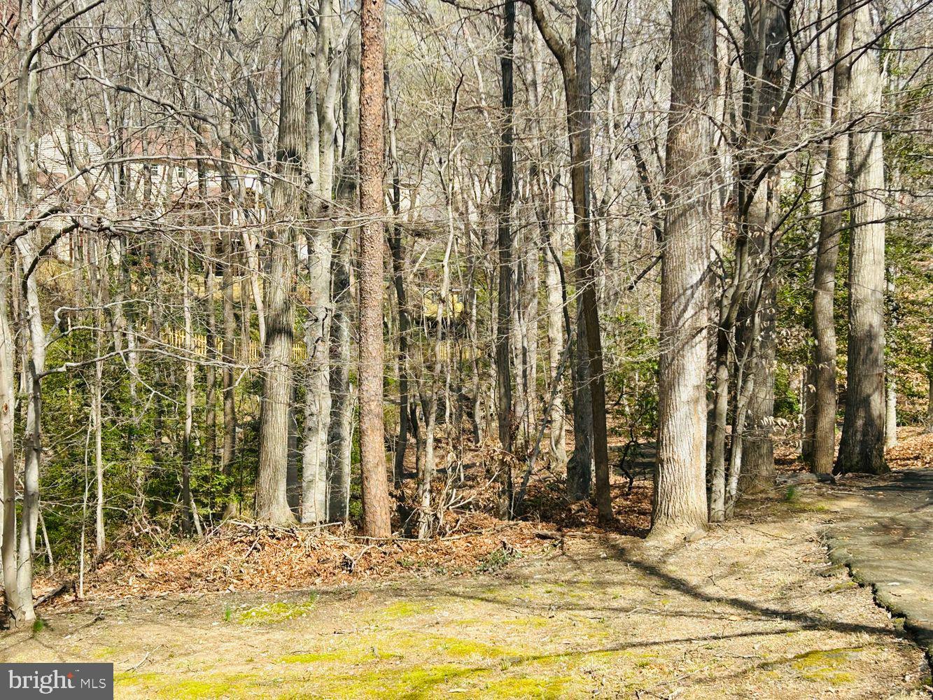 ROLLING FOREST - Residential