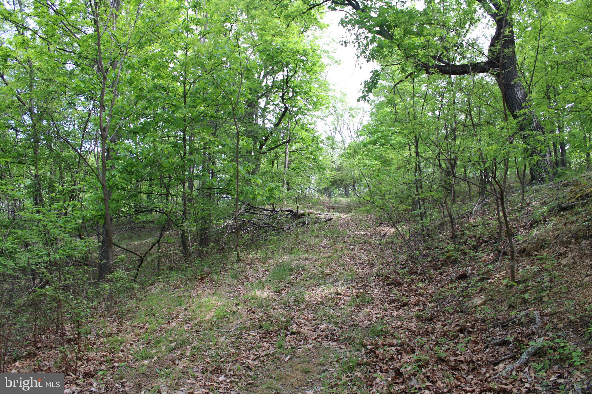 DEERFIELD HIGHLANDS - Land