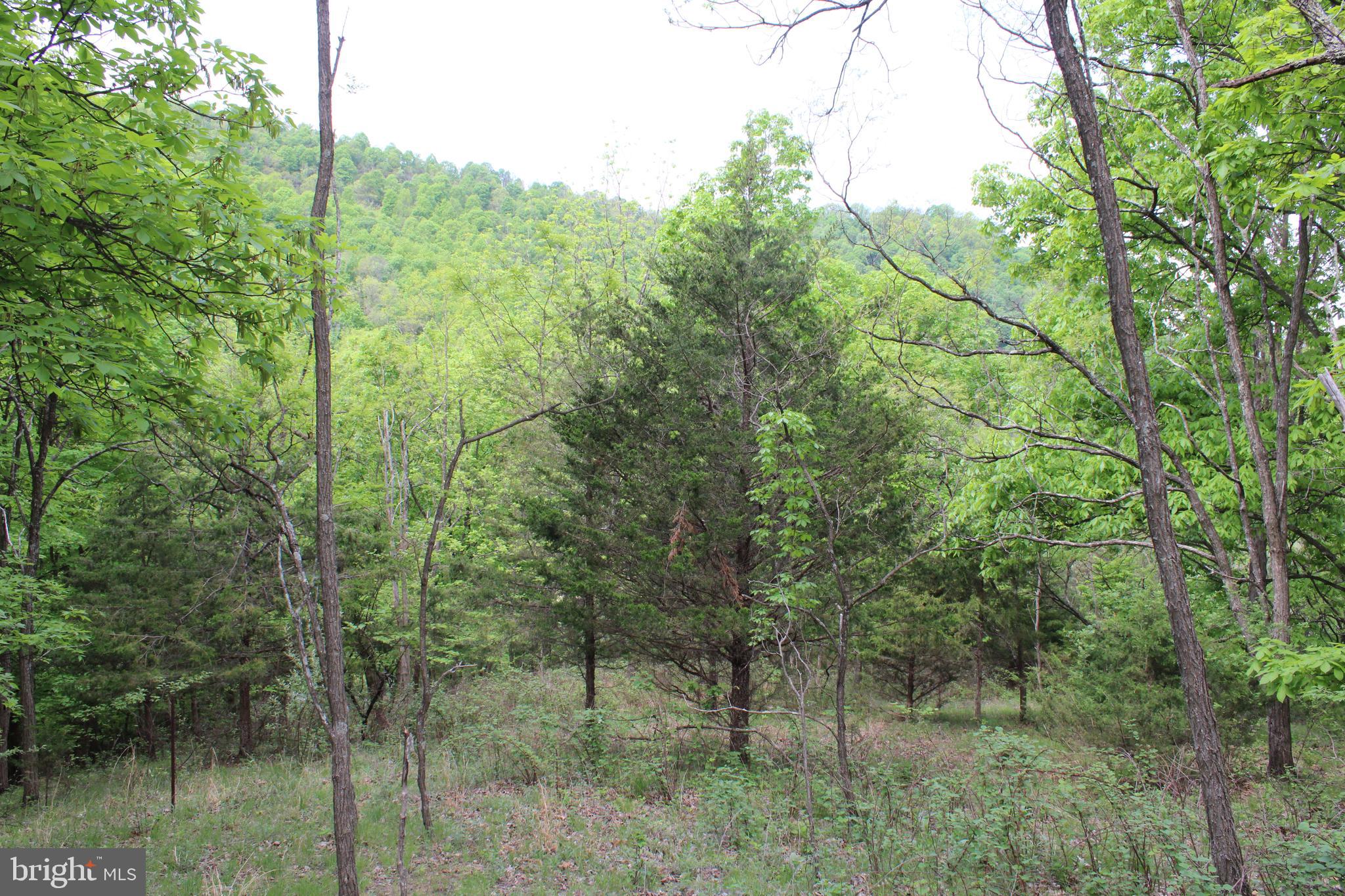 DEERFIELD HIGHLANDS - Land