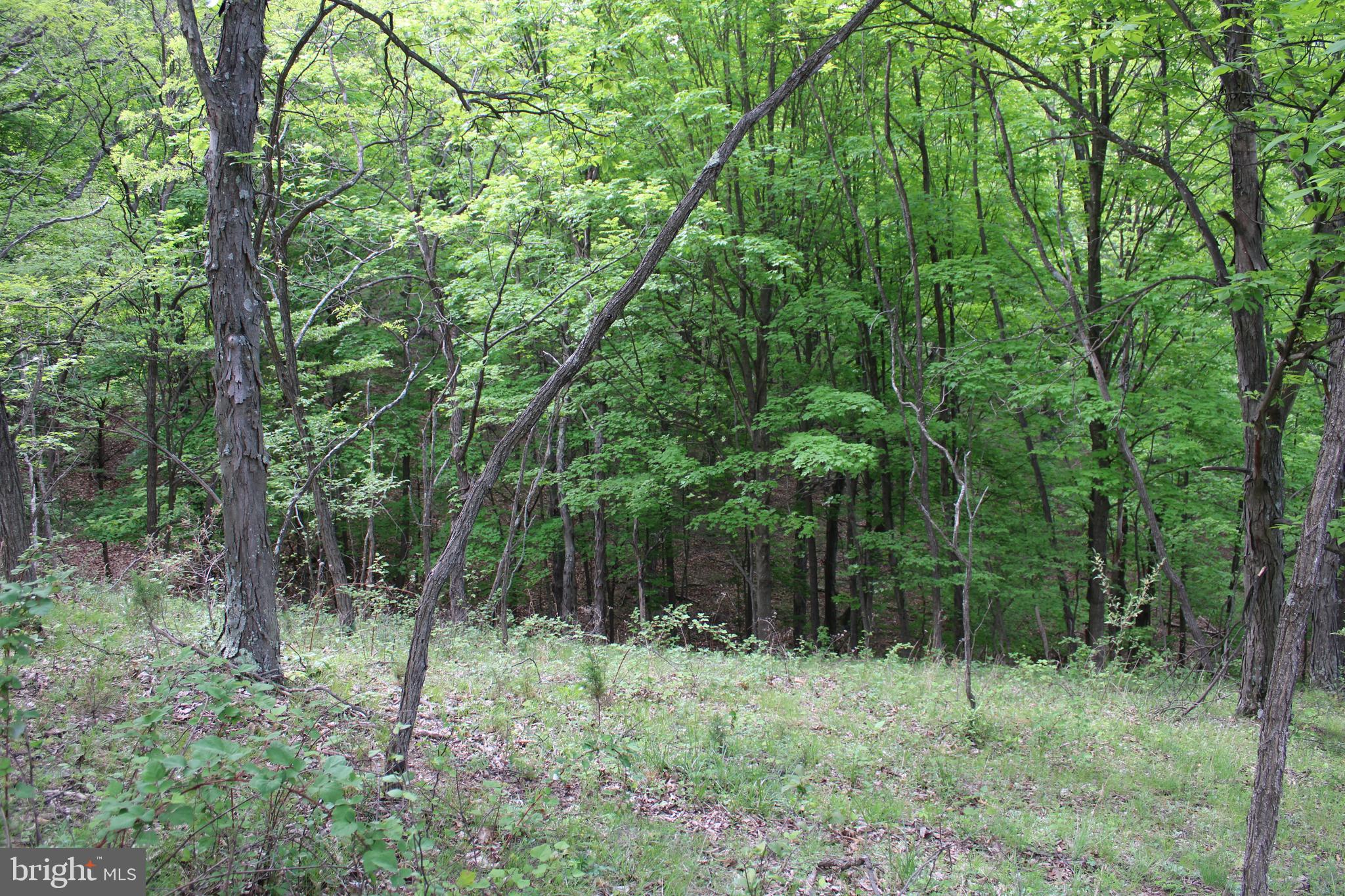 DEERFIELD HIGHLANDS - Land