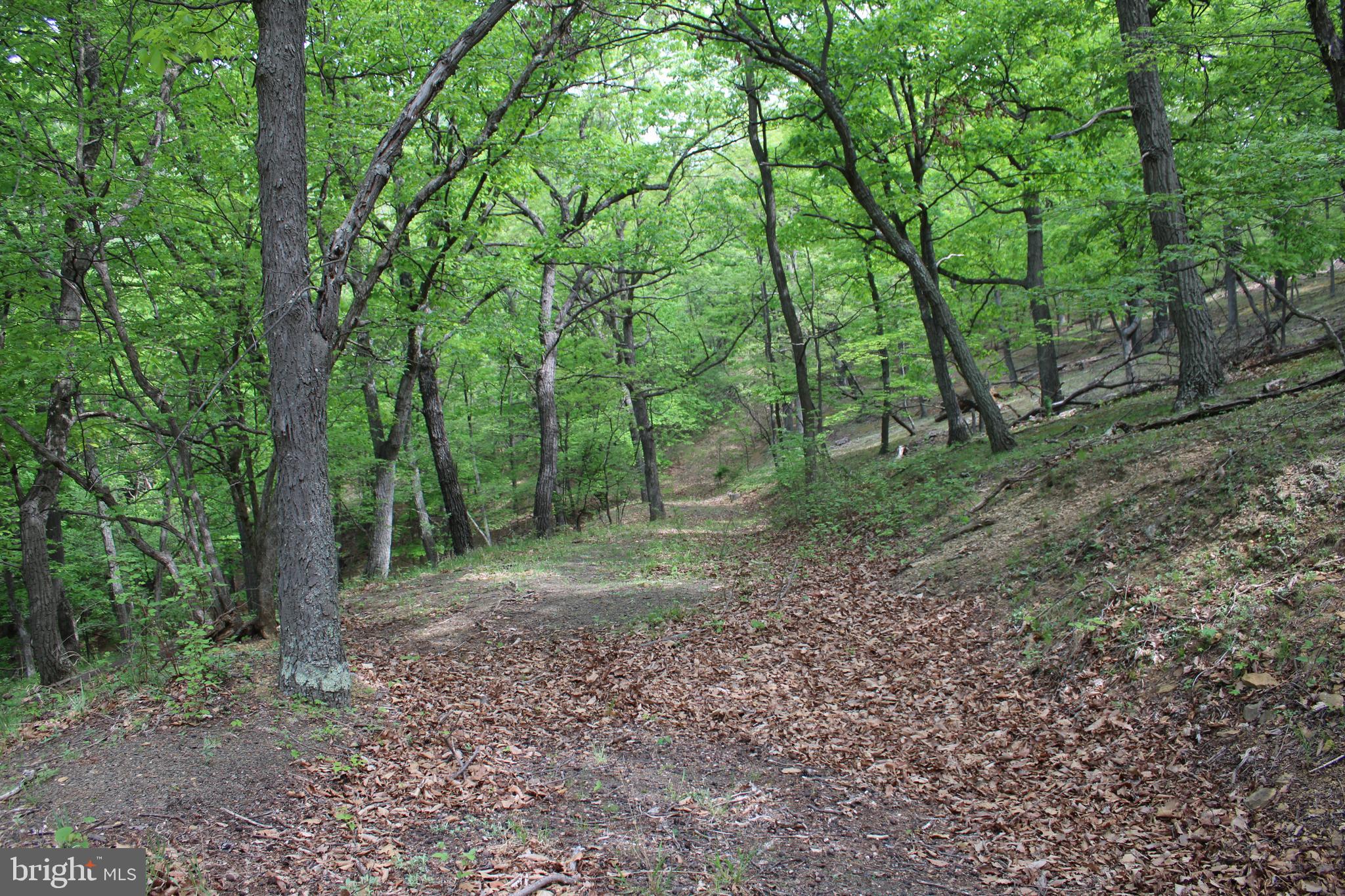 DEERFIELD HIGHLANDS - Land