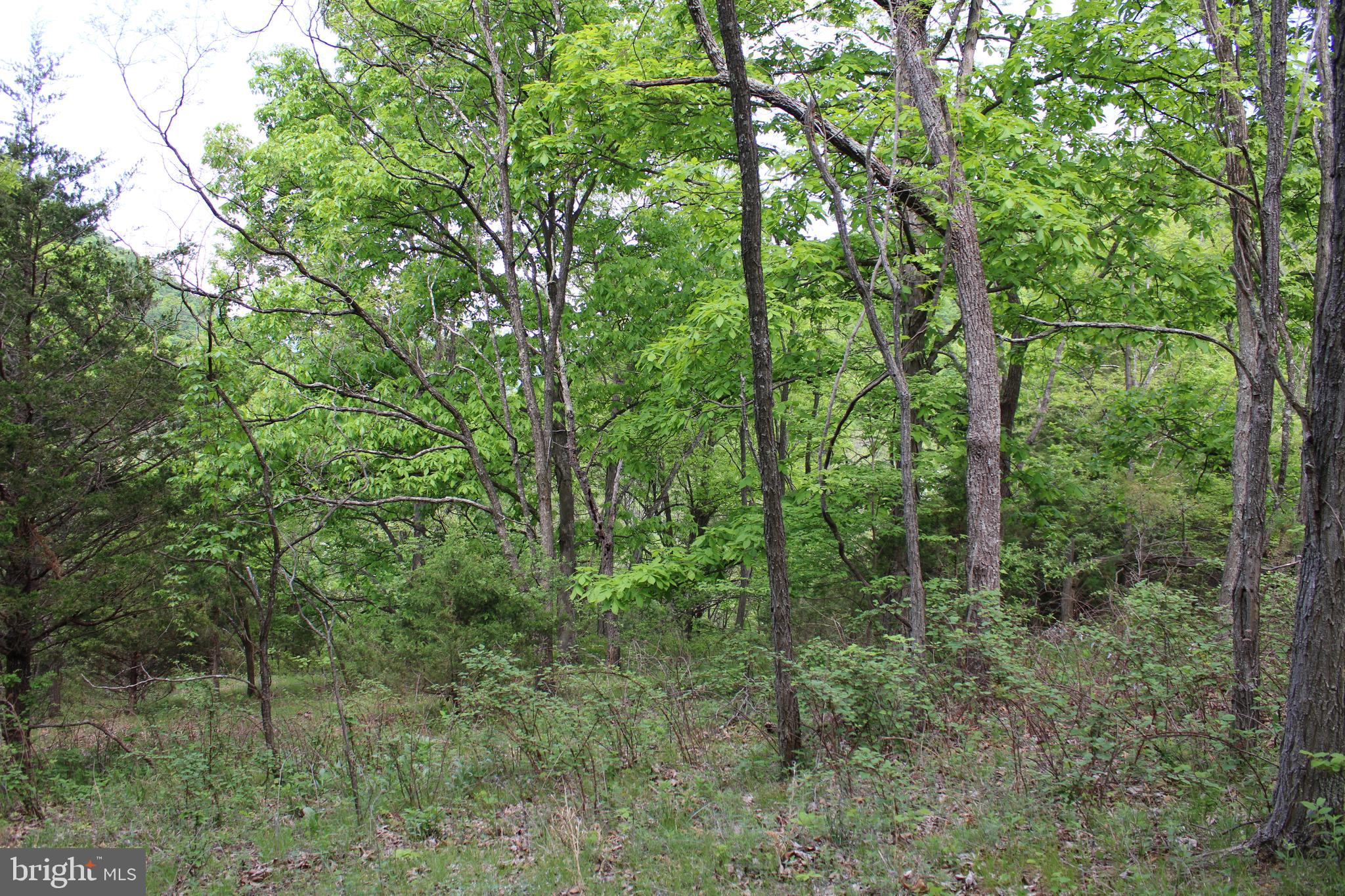 DEERFIELD HIGHLANDS - Land