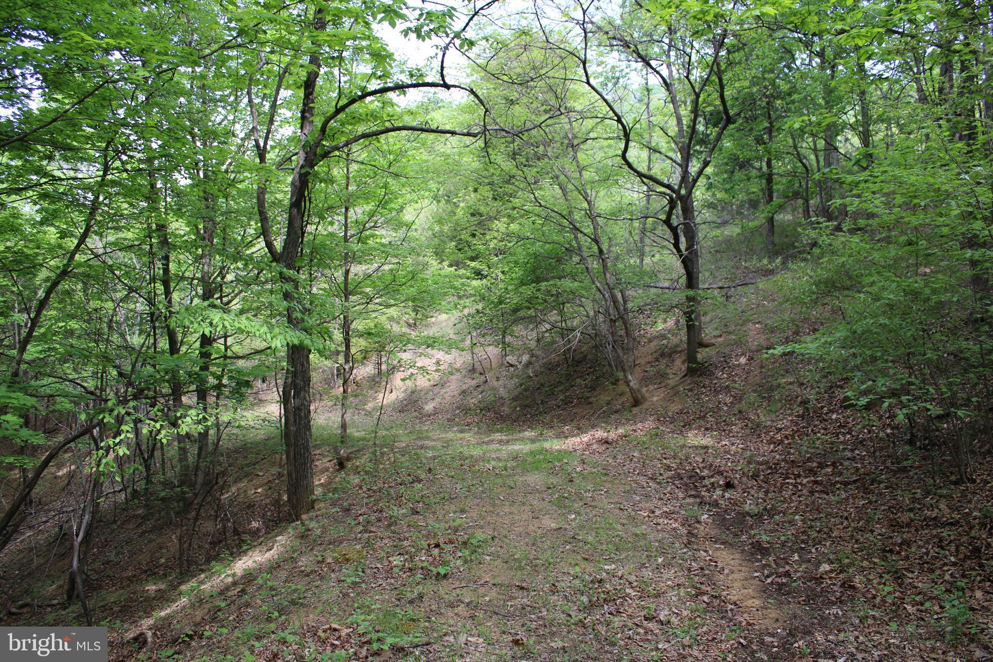 DEERFIELD HIGHLANDS - Land