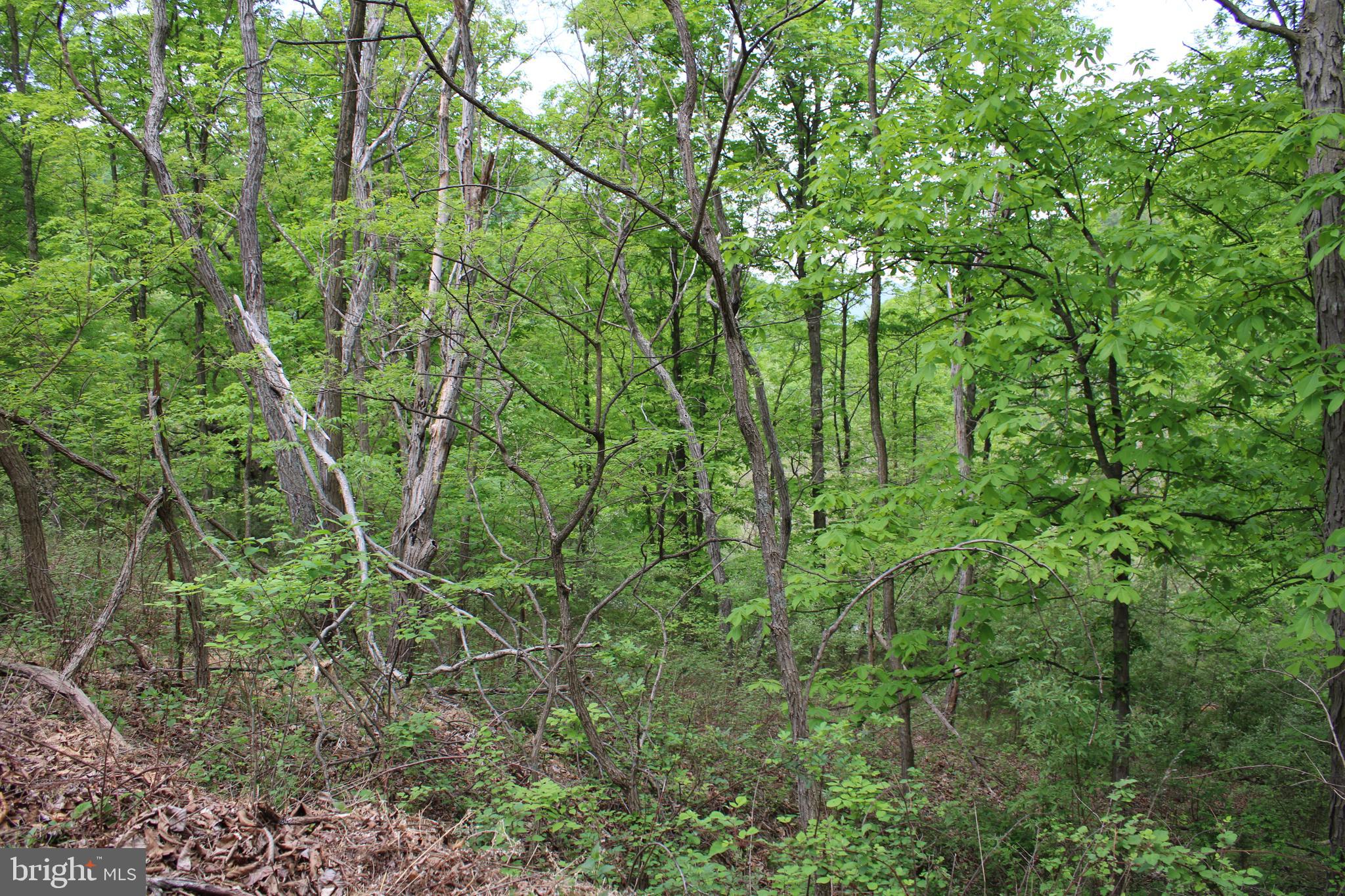 DEERFIELD HIGHLANDS - Land