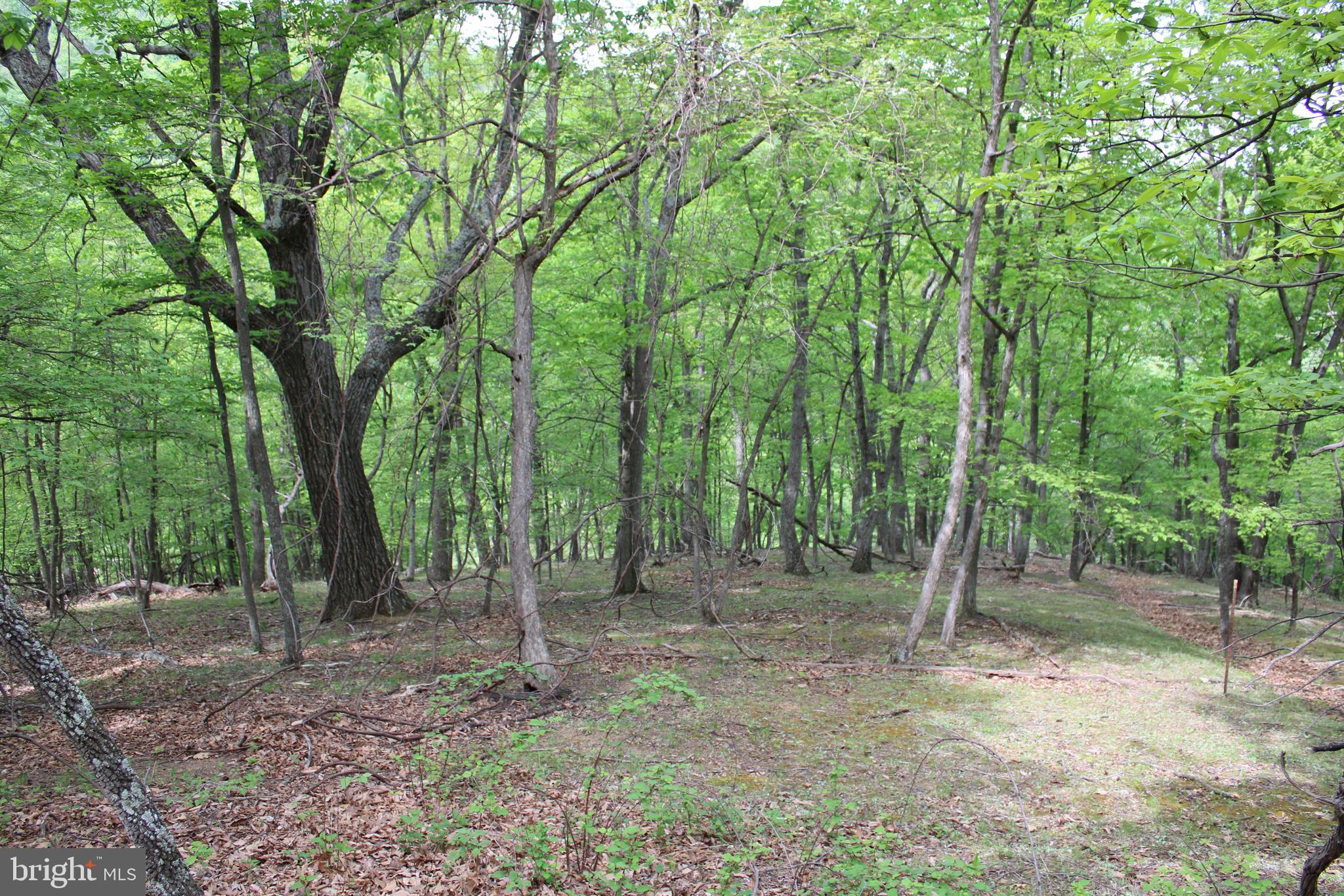 DEERFIELD HIGHLANDS - Land