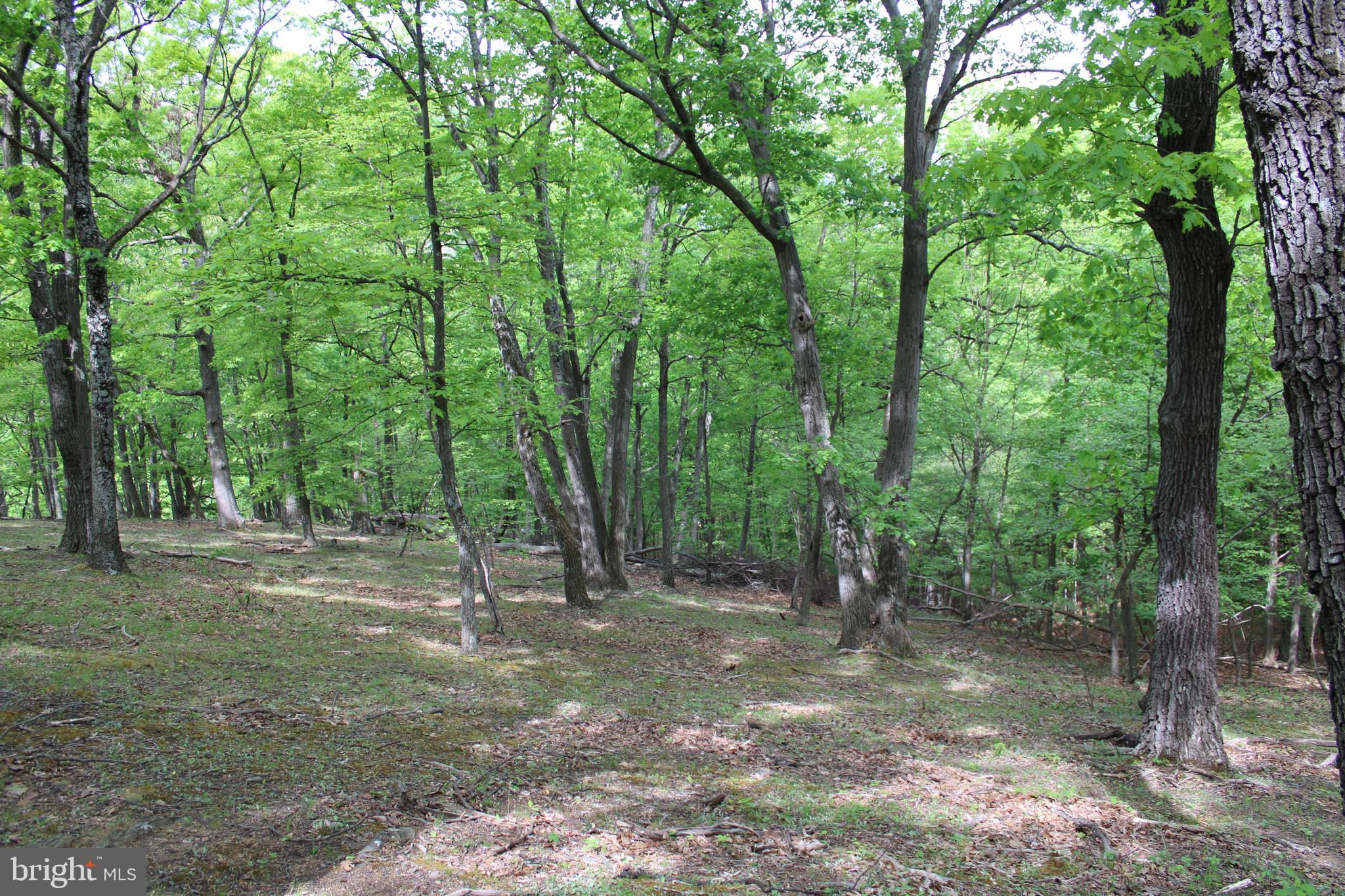 DEERFIELD HIGHLANDS - Land